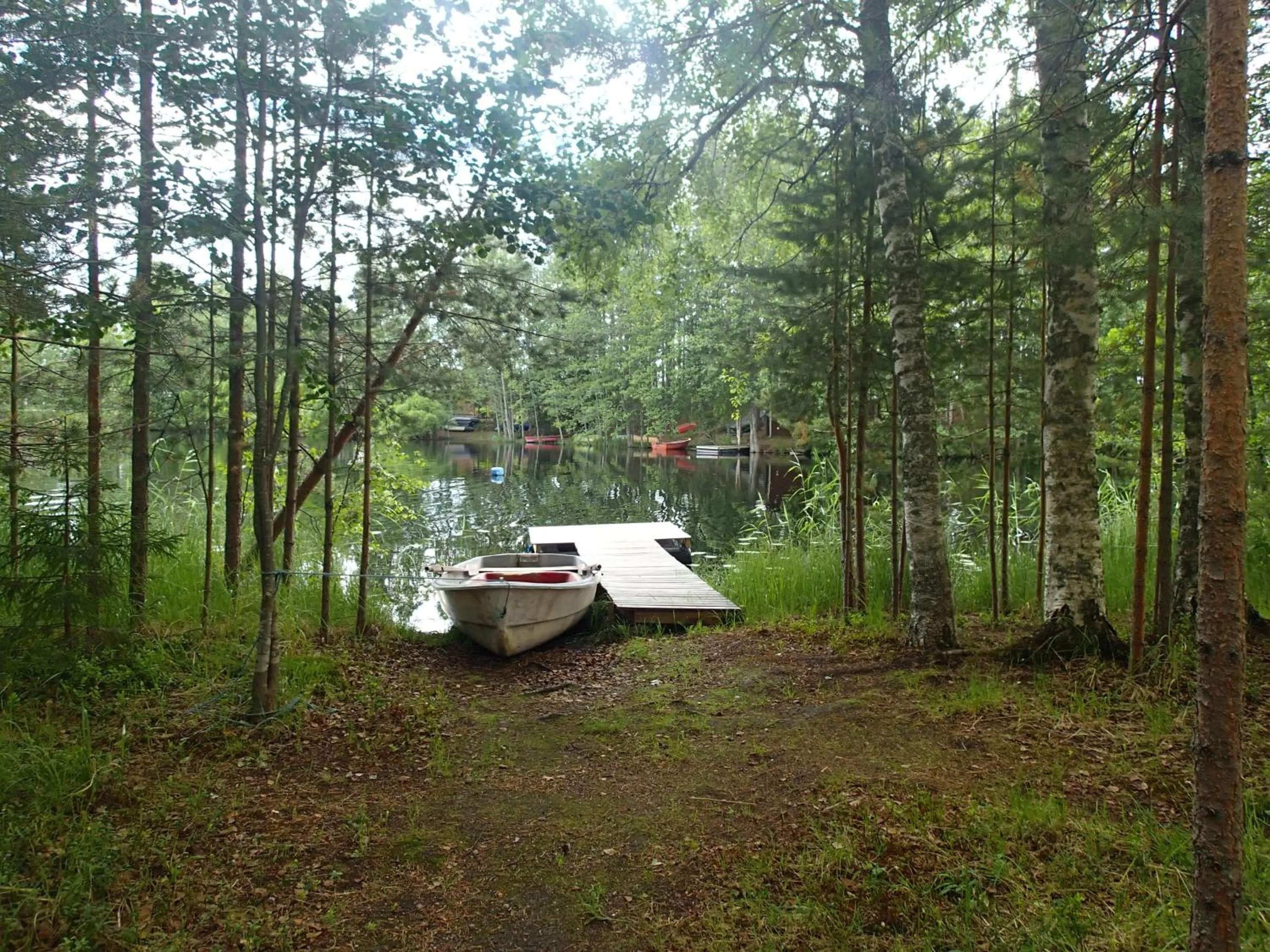 Natural landscape in Lomasaaret Cottages