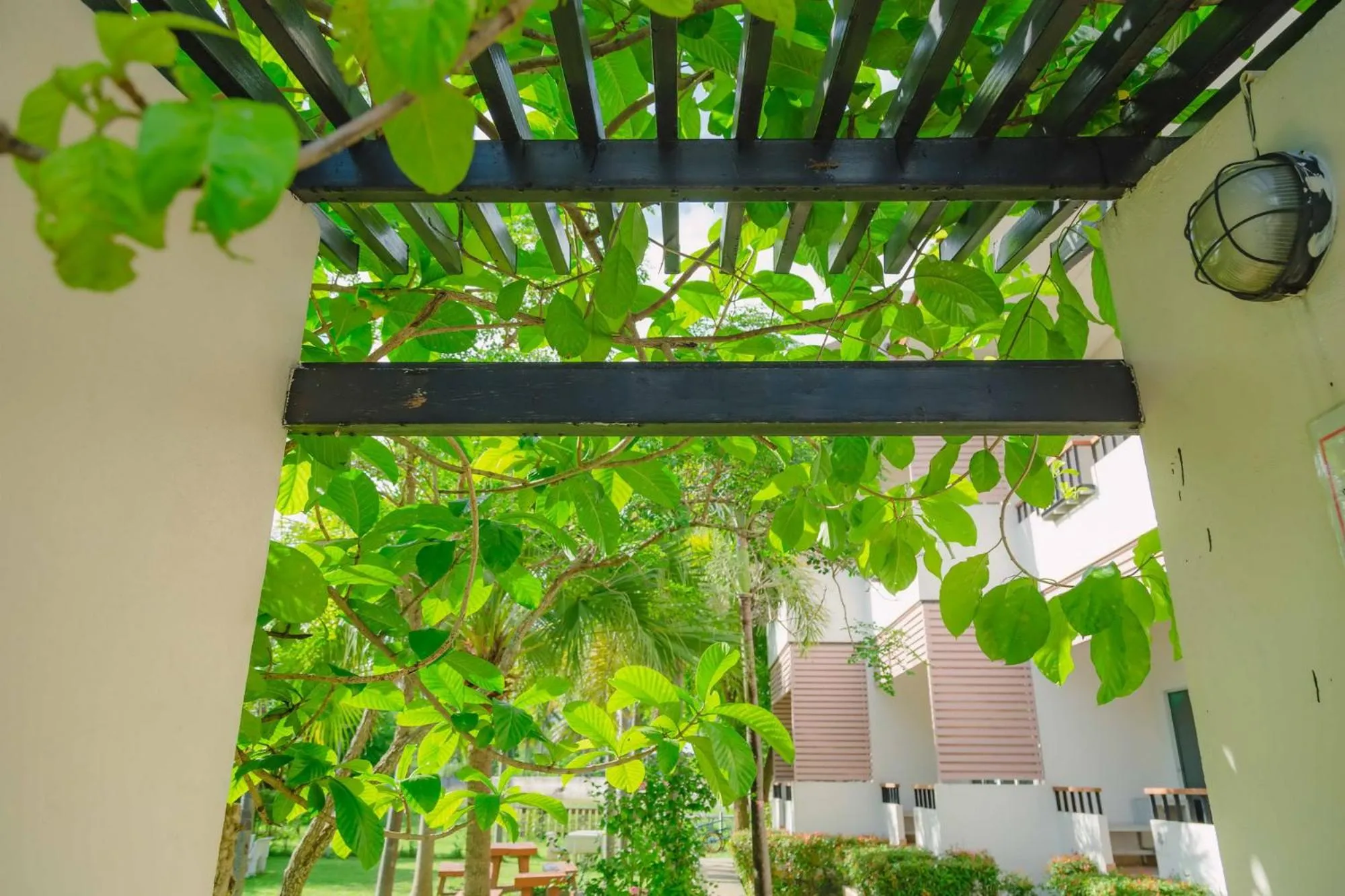 Day in Anika boutique - อัณณิกา บูทีค