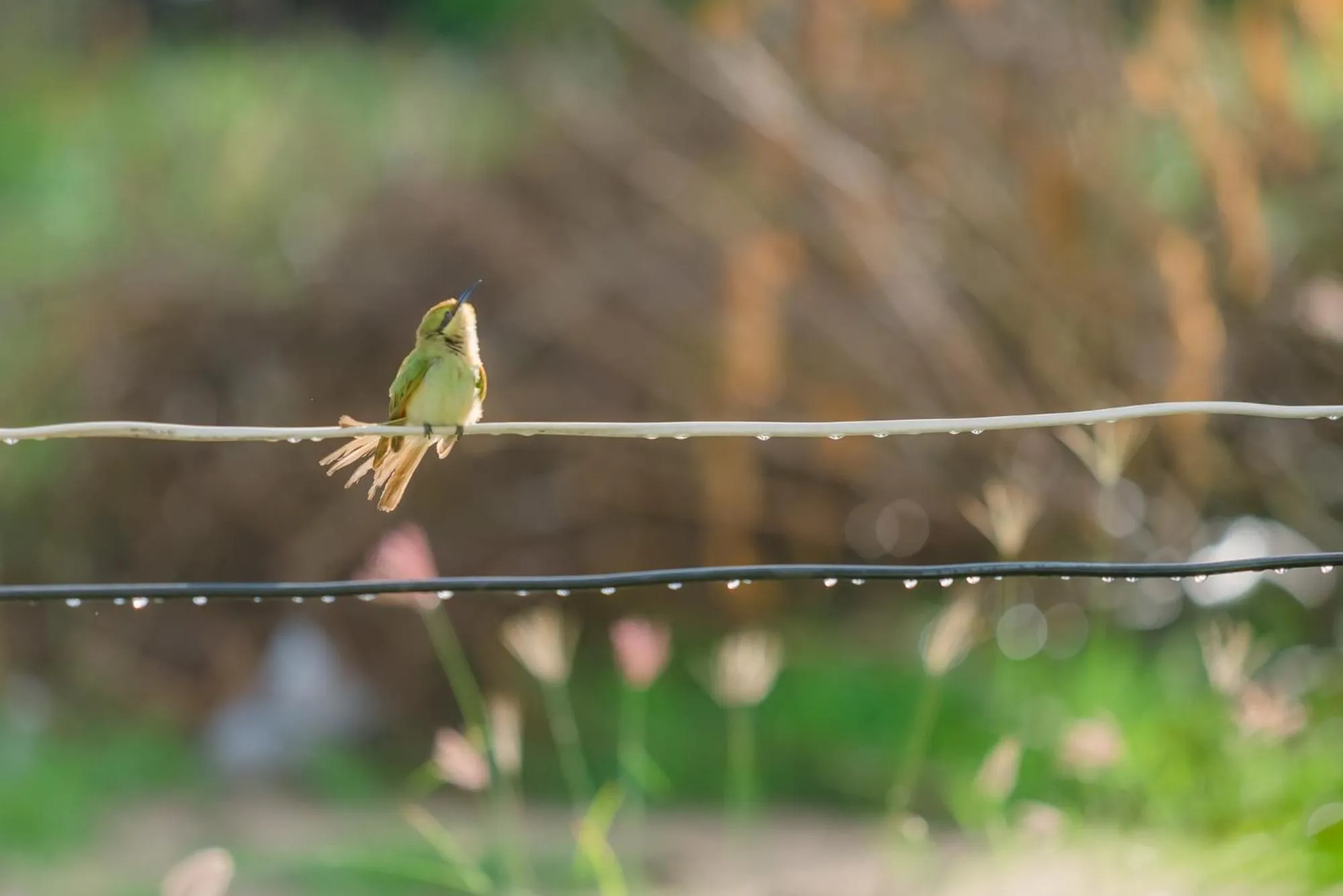Day in Anika boutique - อัณณิกา บูทีค