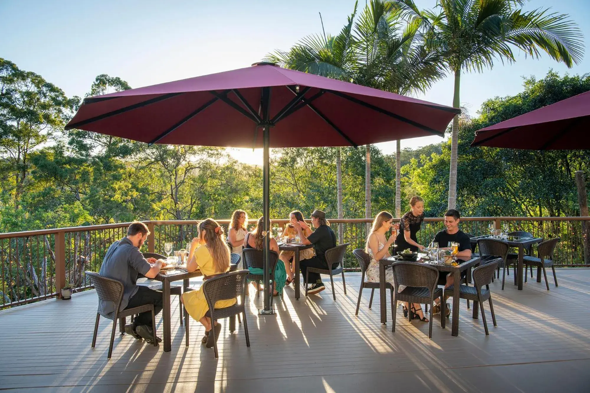 Restaurant/places to eat in Kondalilla Eco Resort Restaurant/places to eat in Kondalilla Eco Resort