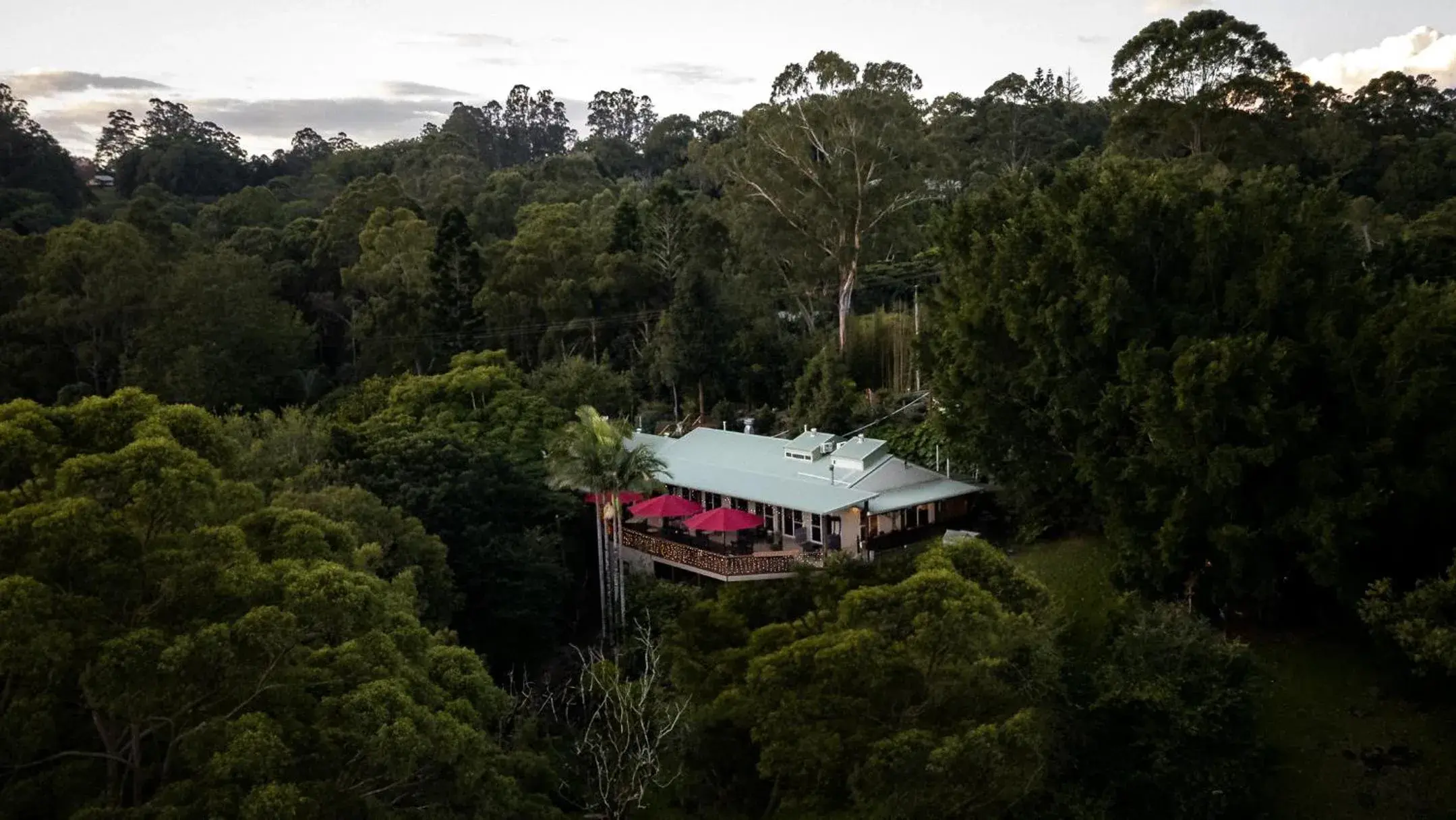 Restaurant/places to eat in Kondalilla Eco Resort Restaurant/places to eat in Kondalilla Eco Resort