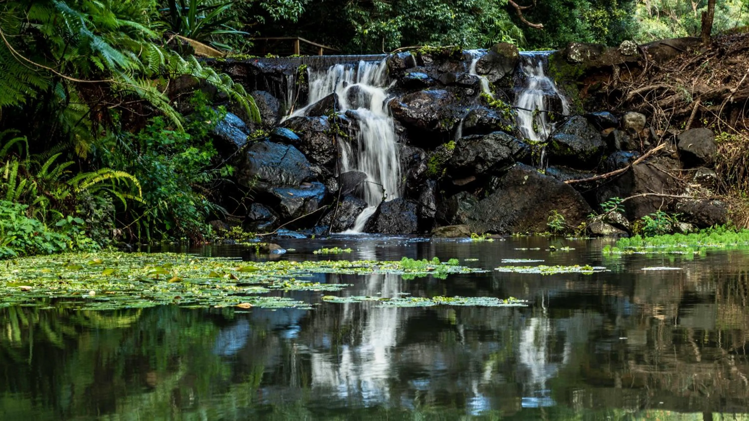 Natural landscape in Kondalilla Eco Resort