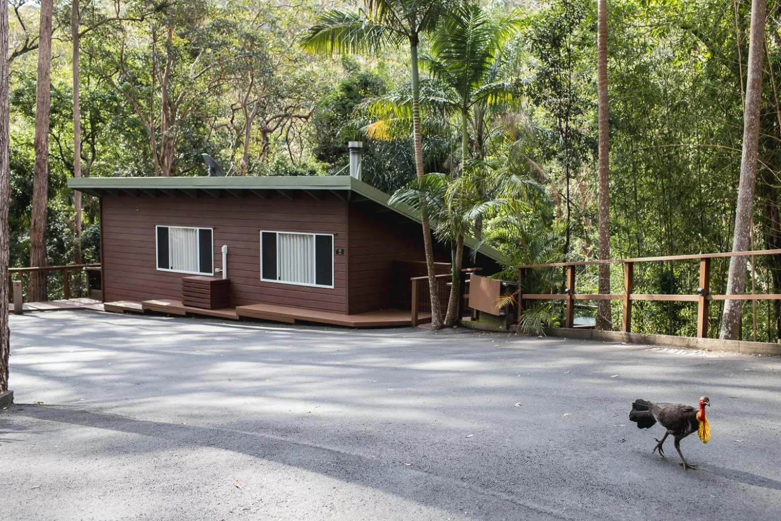 Kondalilla Eco Resort