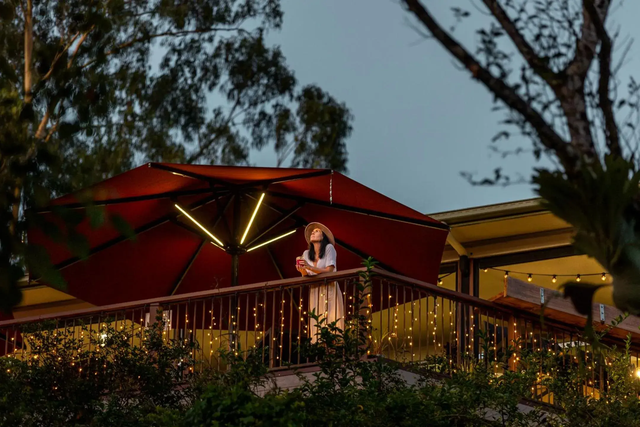 Restaurant/places to eat in Kondalilla Eco Resort Restaurant/places to eat in Kondalilla Eco Resort