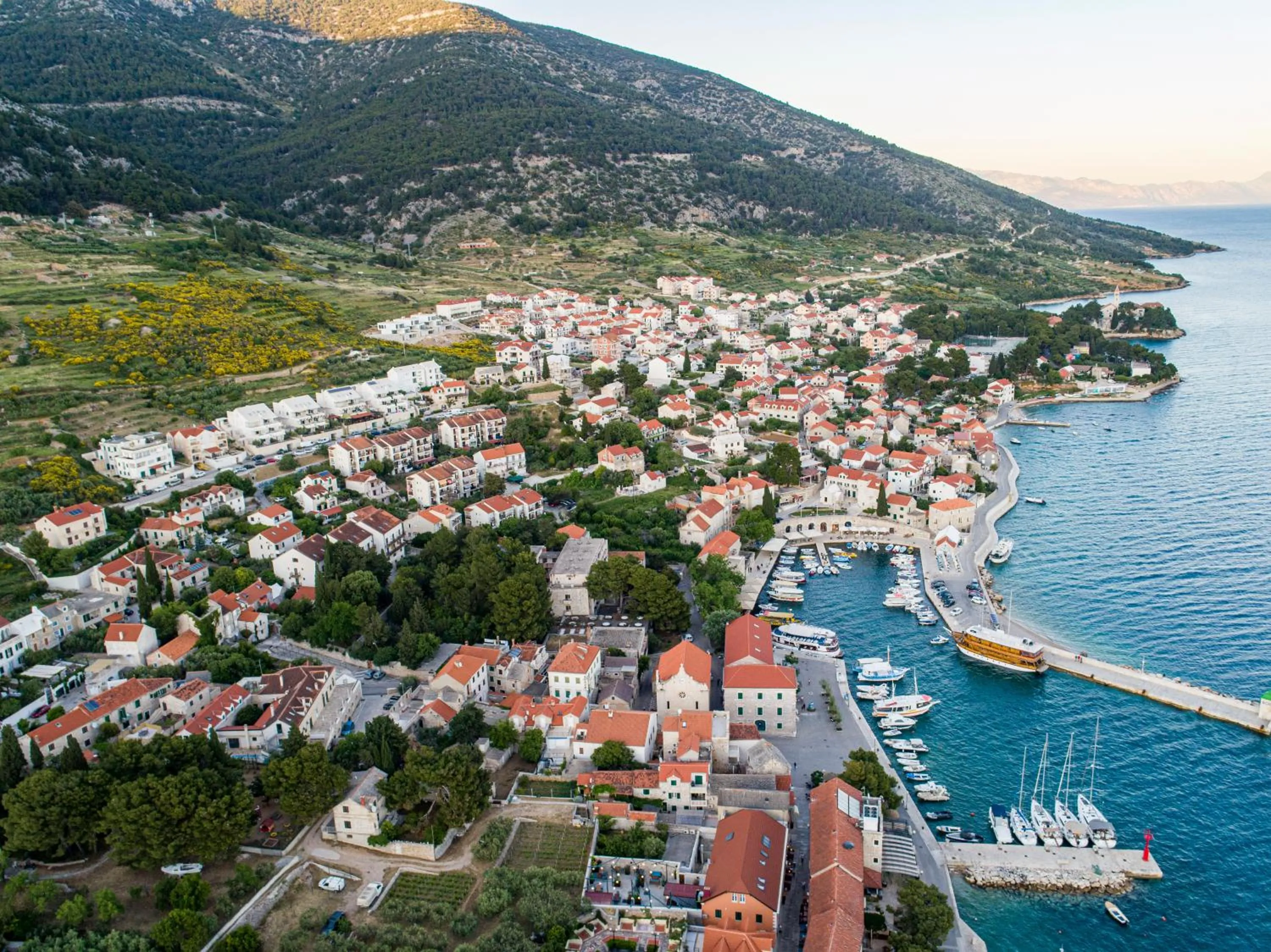 Area and facilities in Apartments Villa Azzurra Bol