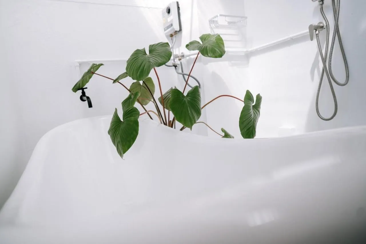 The Courtyard Chiangrai