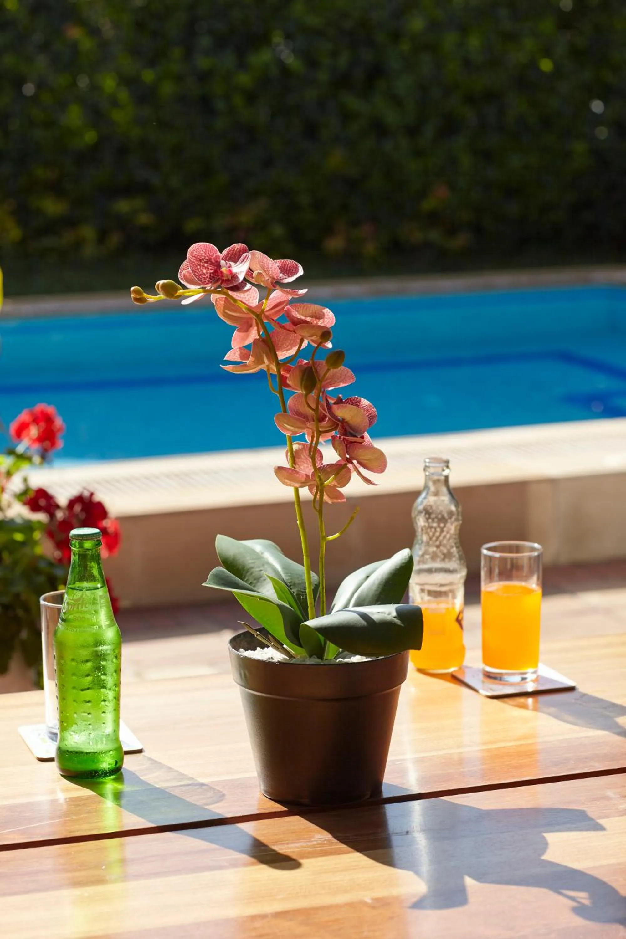 Swimming pool in Deerpark Luxury Stays