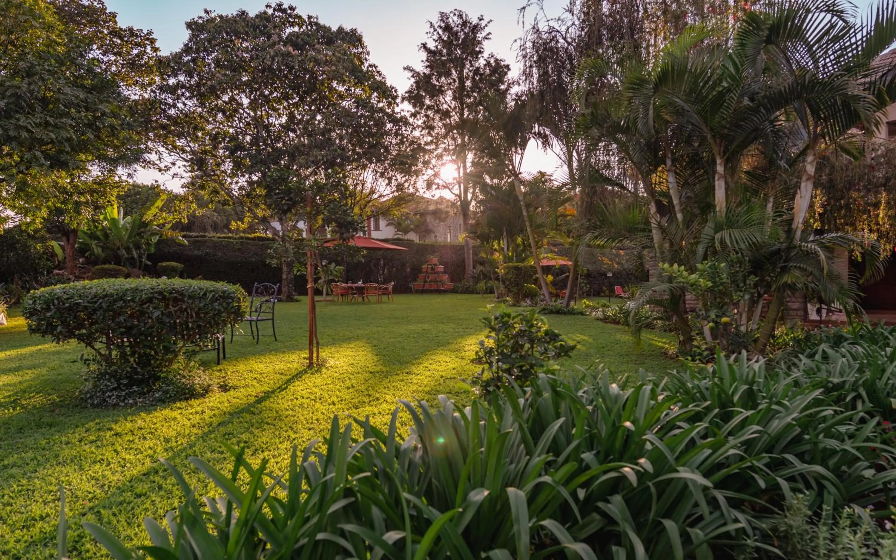 Garden in Deerpark Luxury Stays