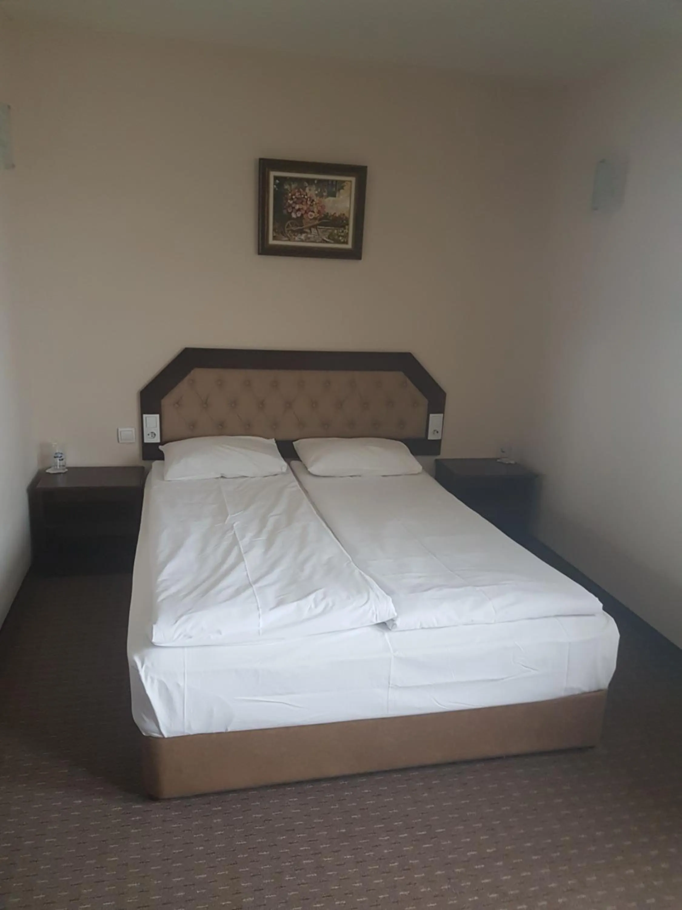 Junior Suite in Hotel Podkovata