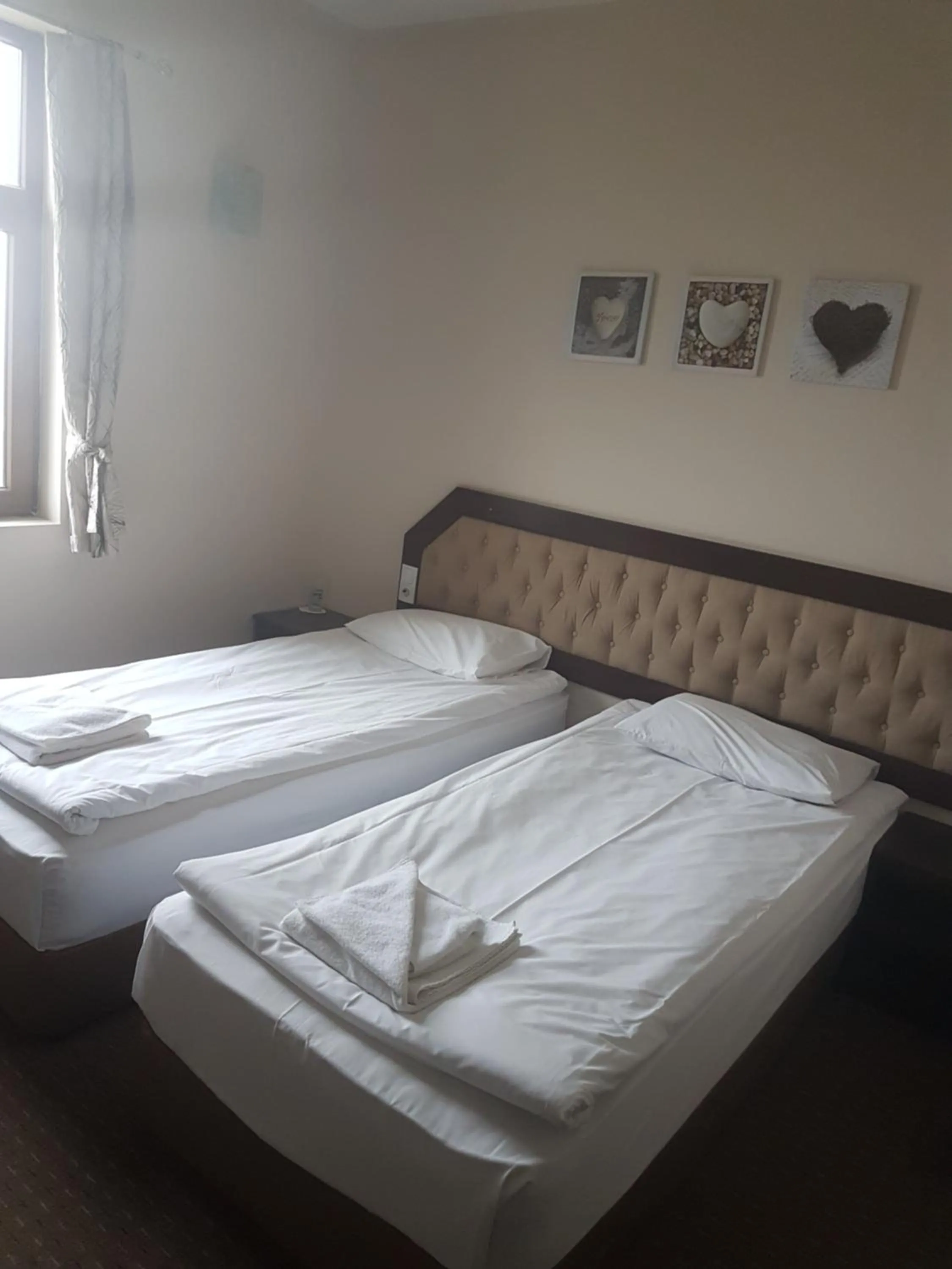 Twin Room - single occupancy in Hotel Podkovata