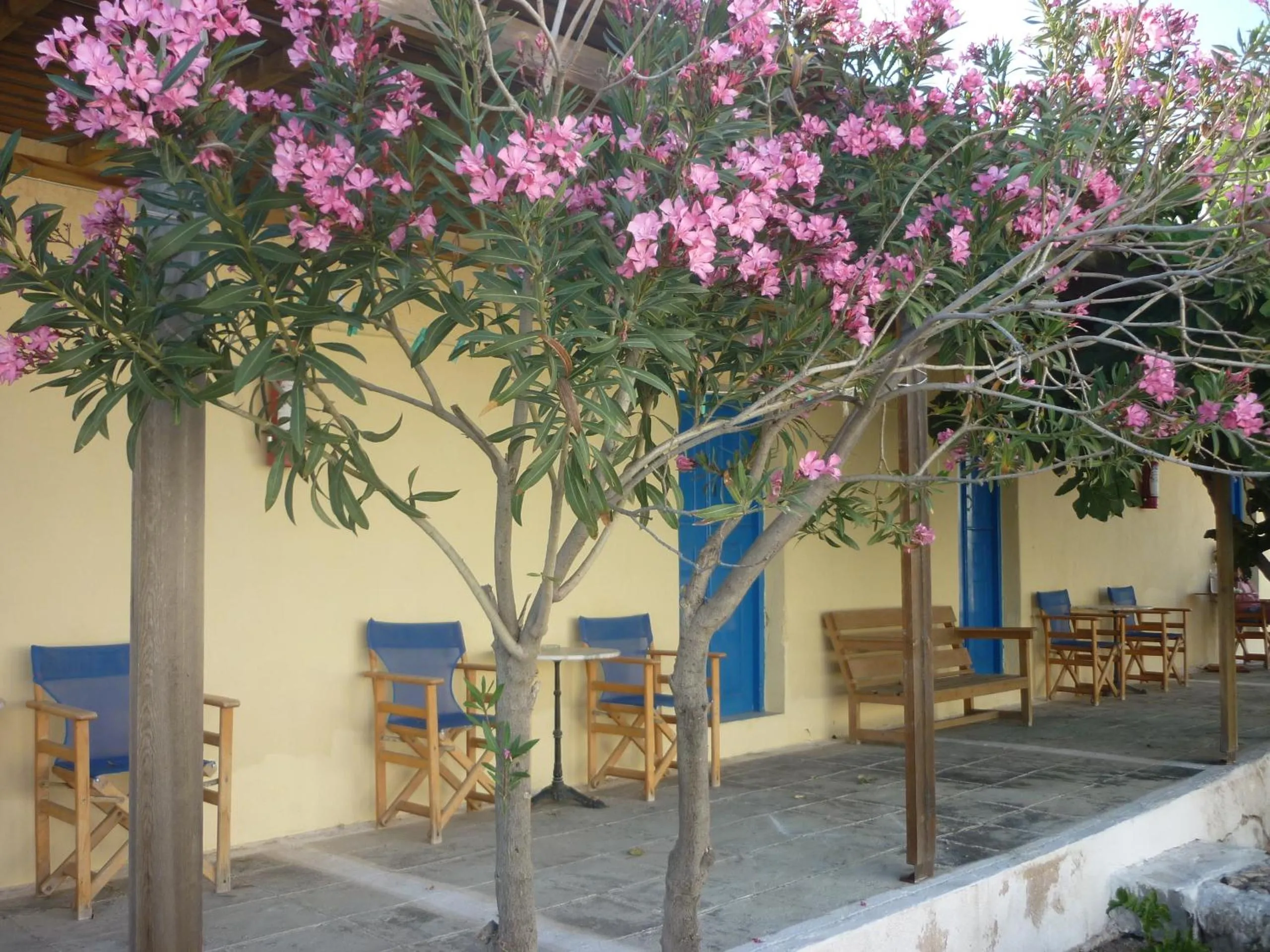 Agios Antonios