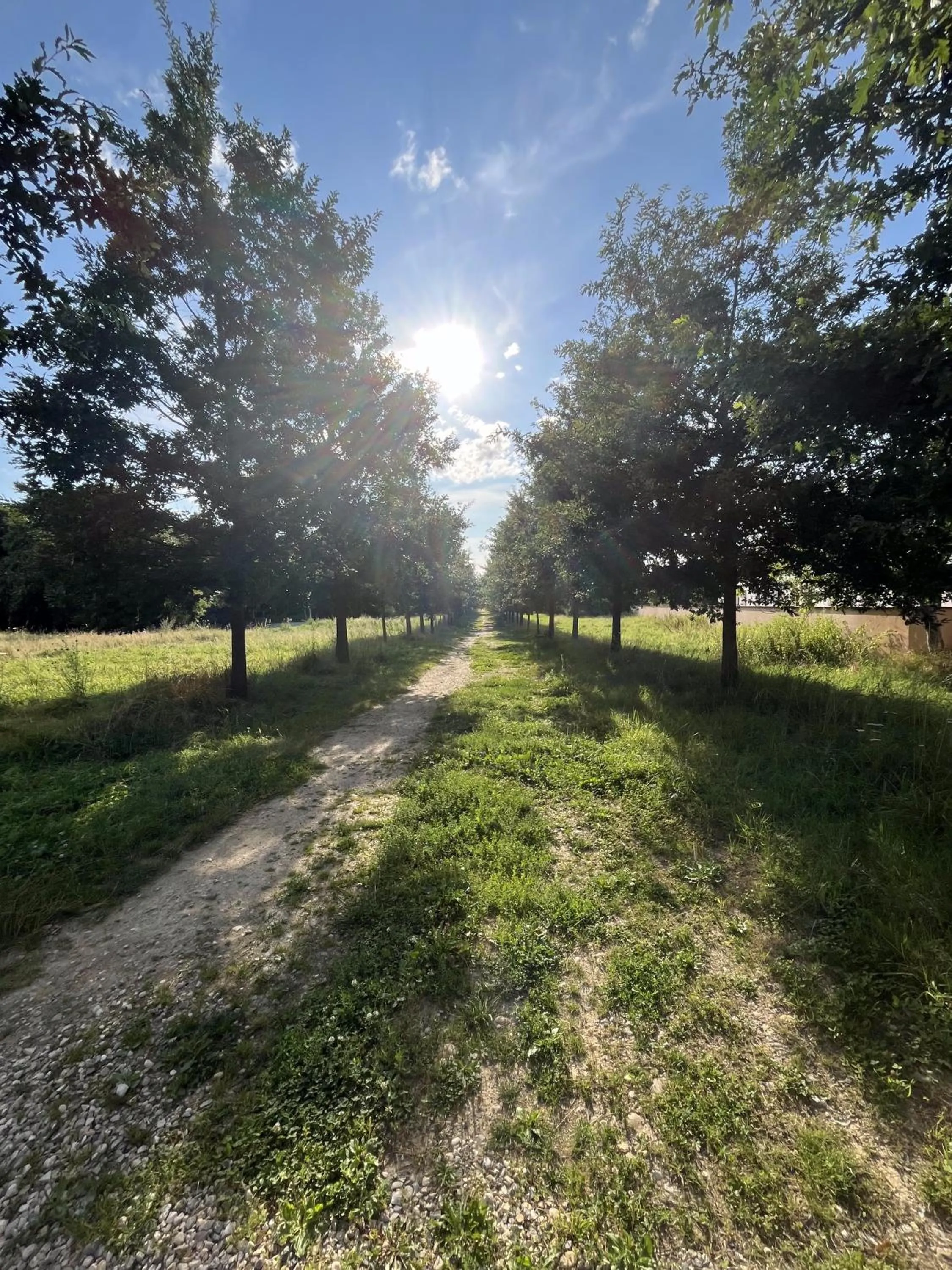Natural landscape in Appart Hôtel Coraline - Genas Lyon Eurexpo