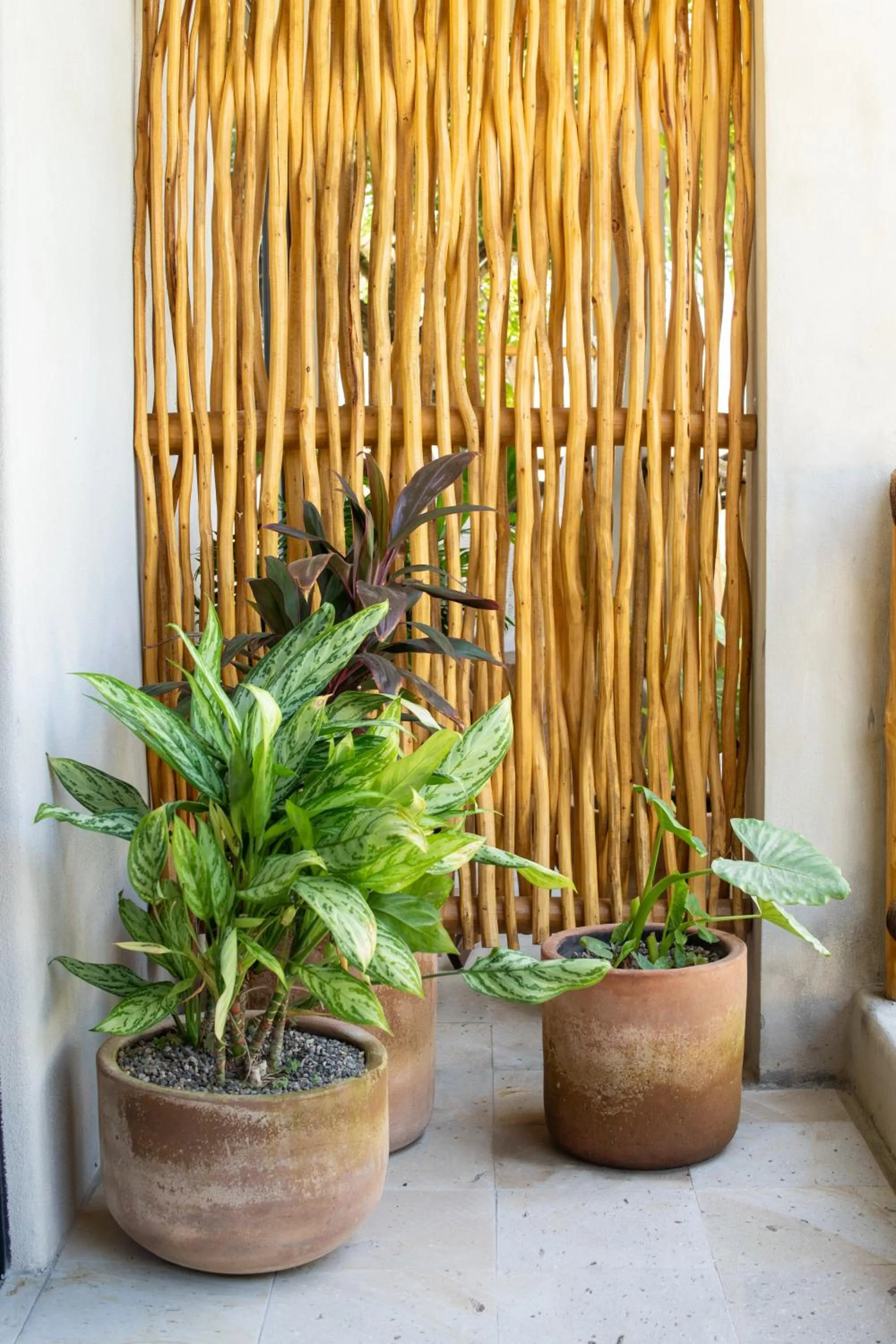 Witari Hotel Boutique