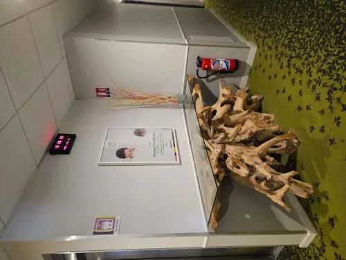 ibis styles Villeneuve Sur Lot