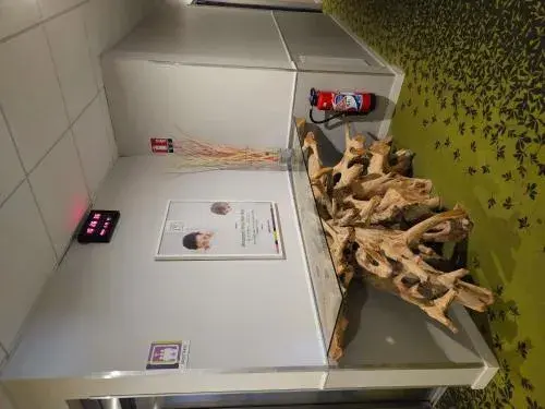 ibis styles Villeneuve Sur Lot ibis styles Villeneuve Sur Lot