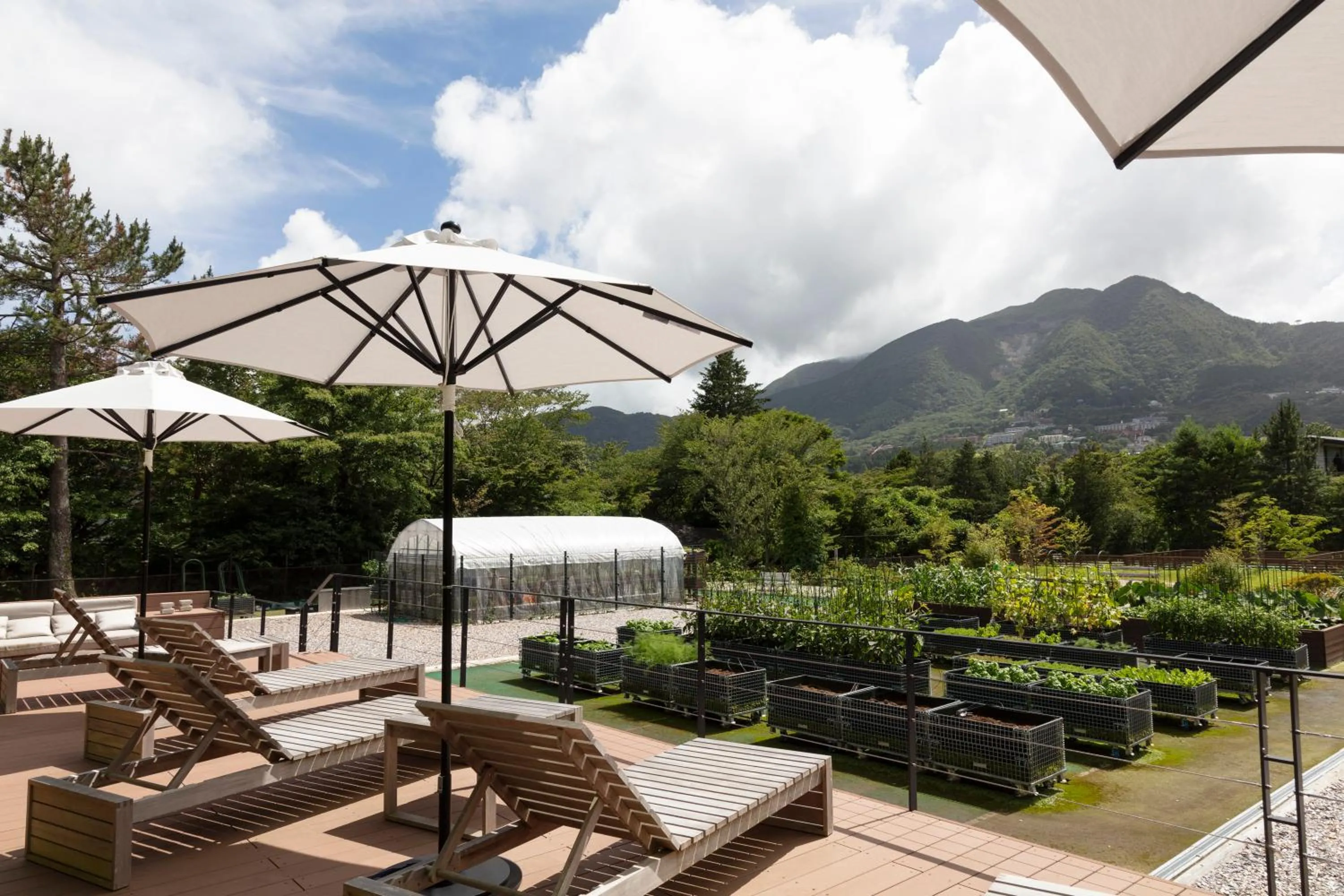 Balcony/Terrace in nol hakone myojindai