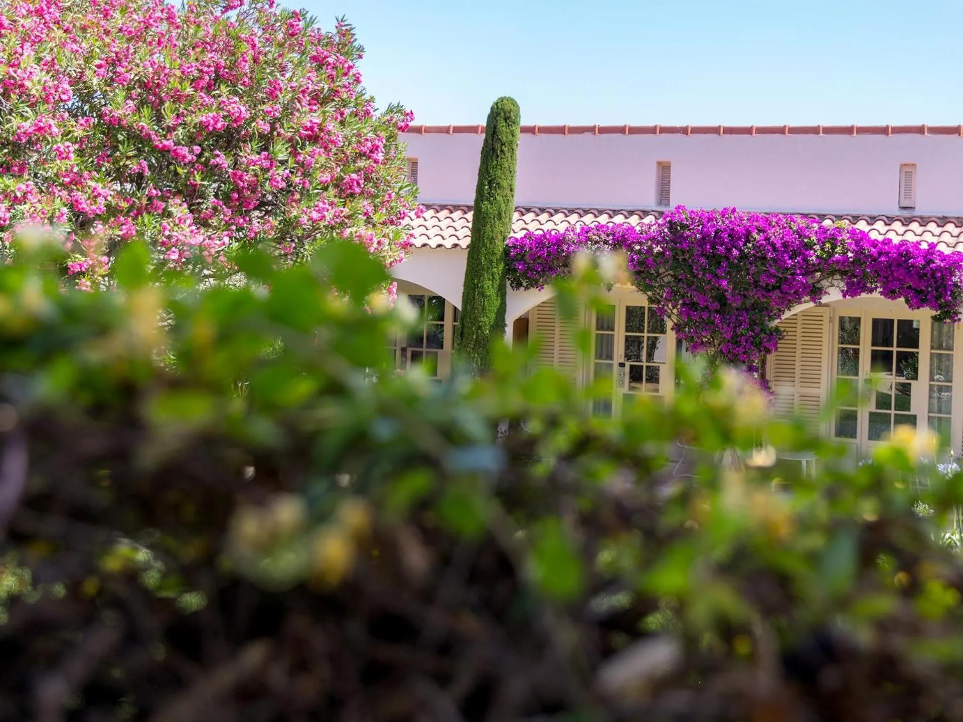 Garden view in Hôtel La Caravelle