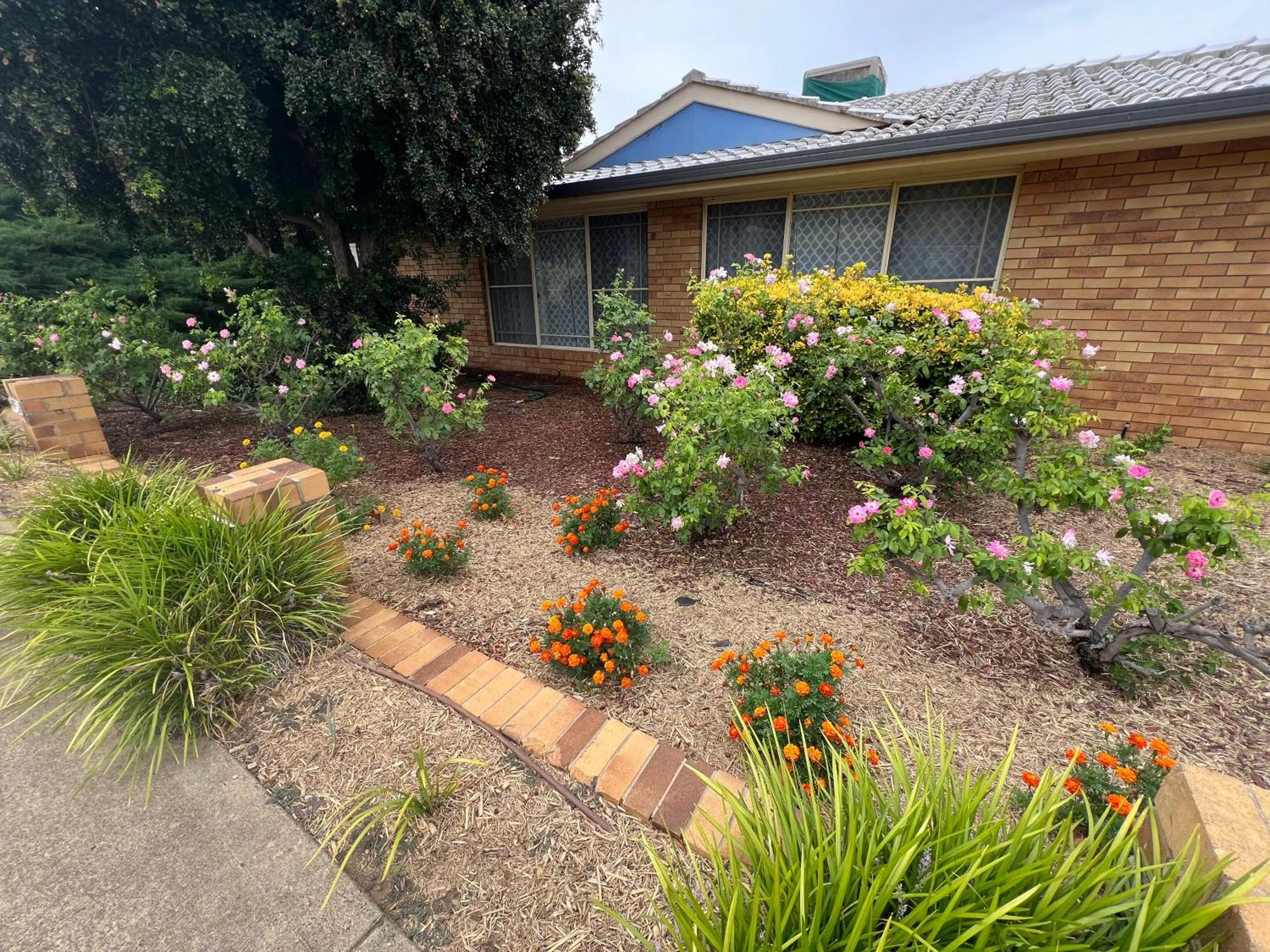 Garden in Almond Inn Motel