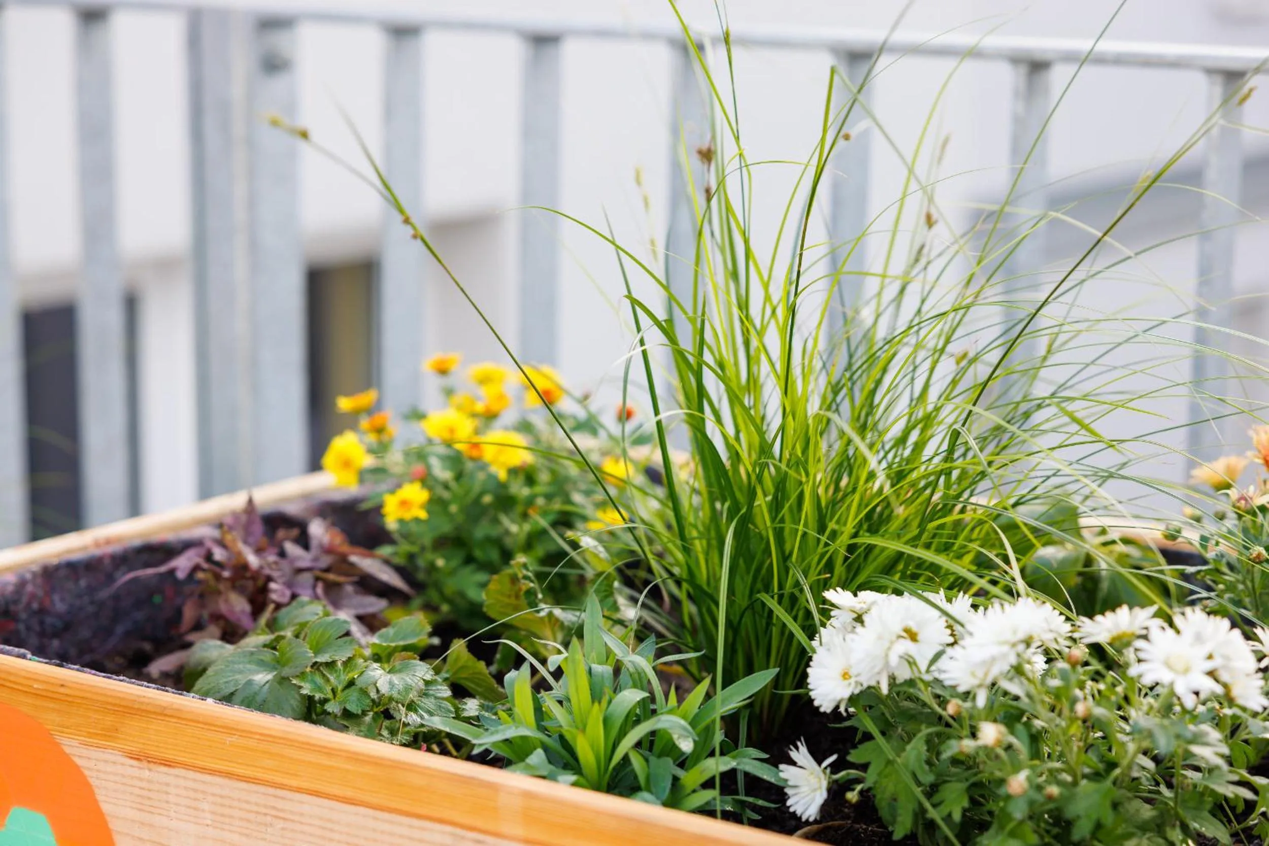 Balcony/Terrace in POHA House Büchel