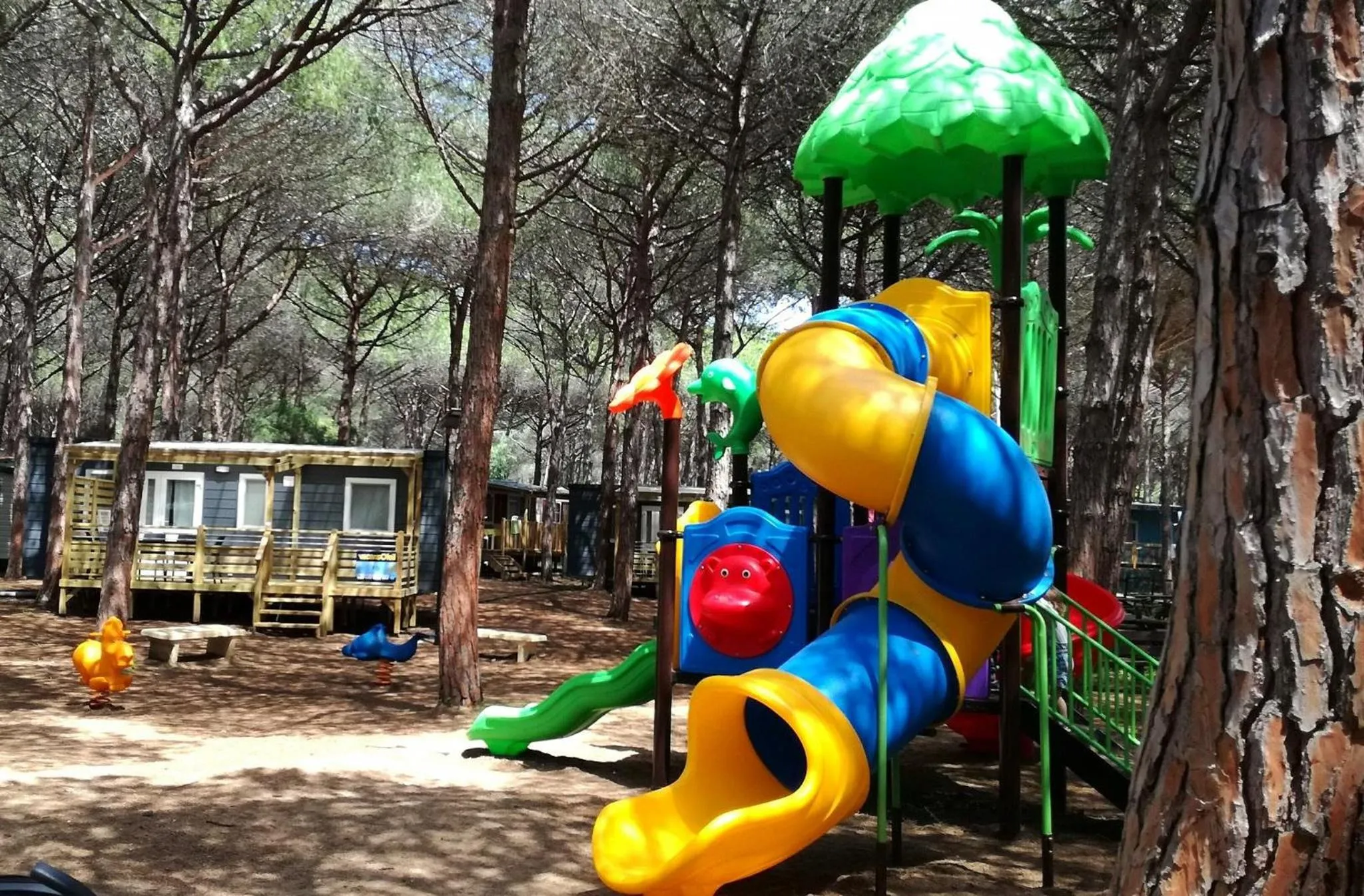 Natural landscape in Camping Bella Sardinia