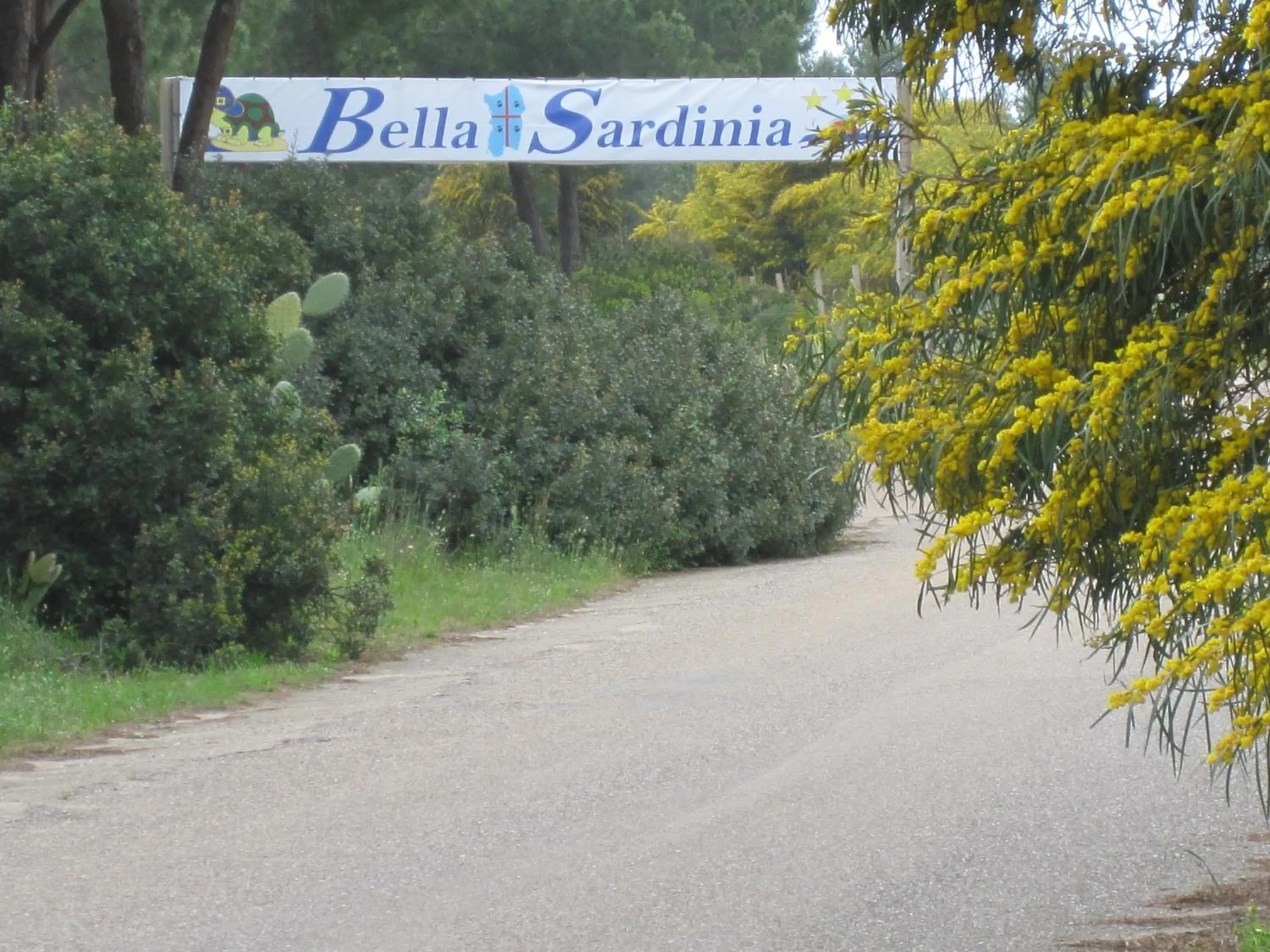 Street view in Camping Bella Sardinia