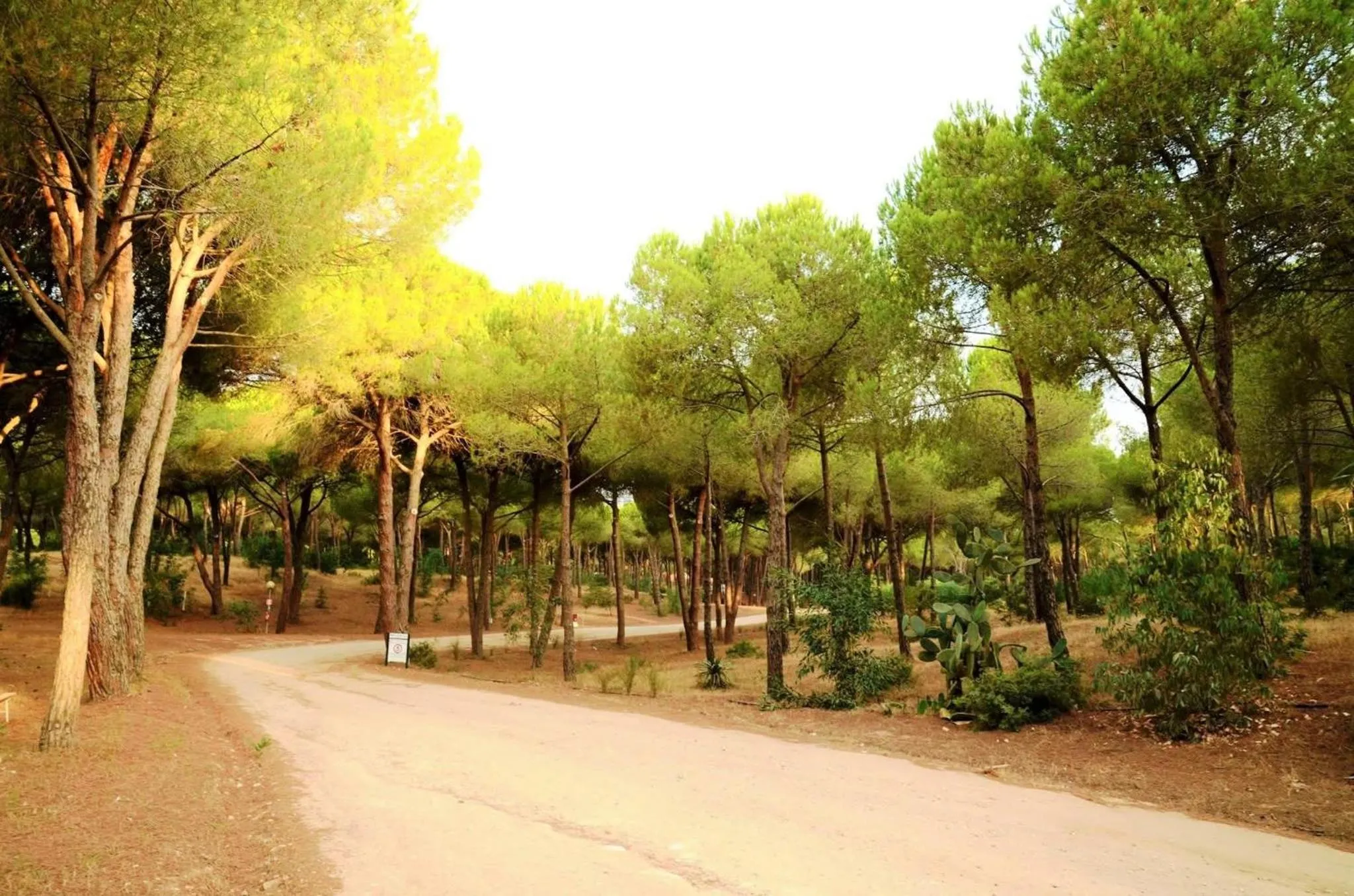 Spring in Camping Bella Sardinia