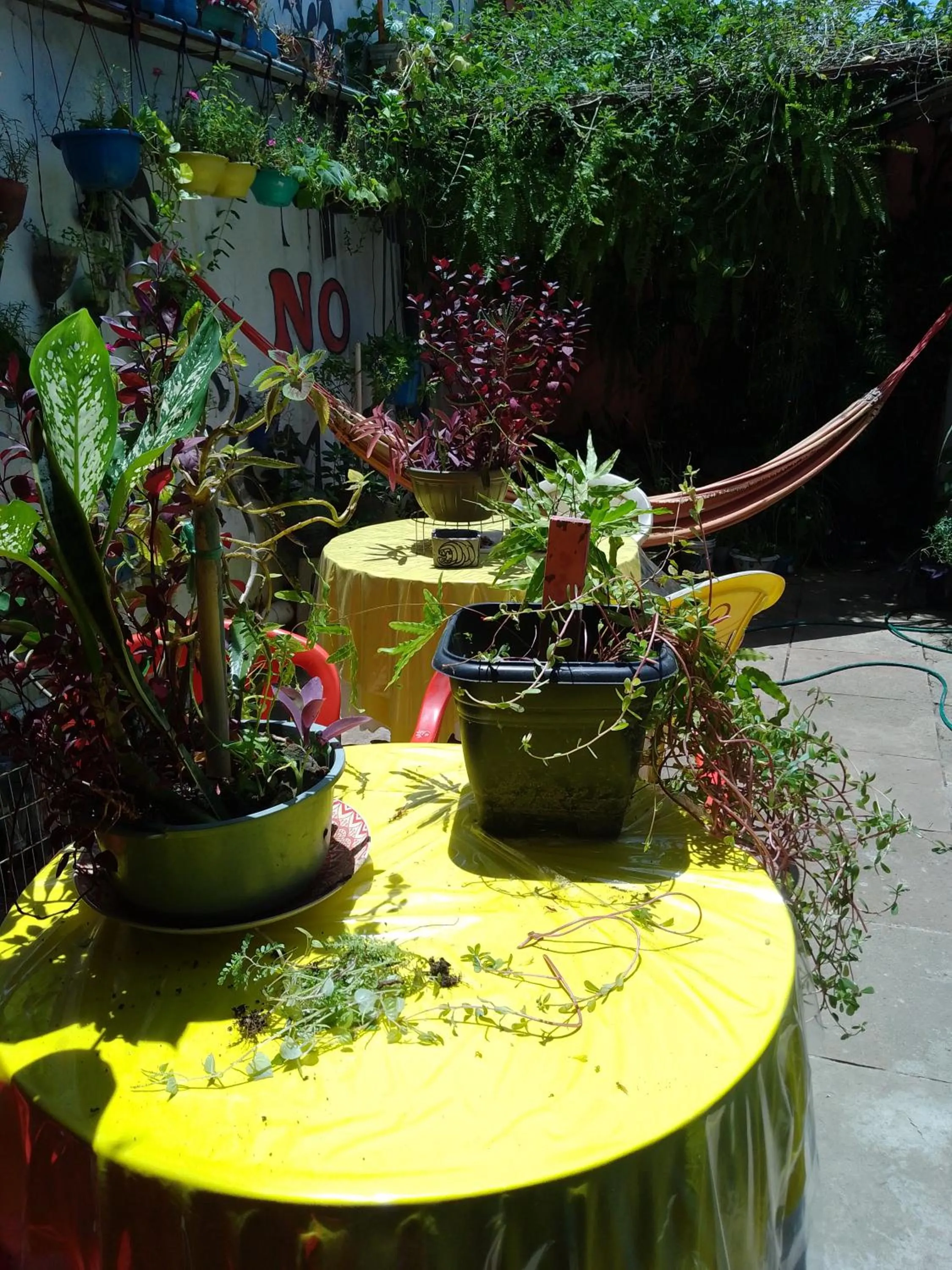 Spring in Hostel Torre Bahia