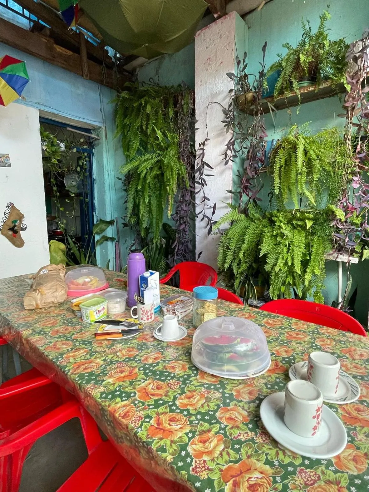 Garden in Hostel Torre Bahia