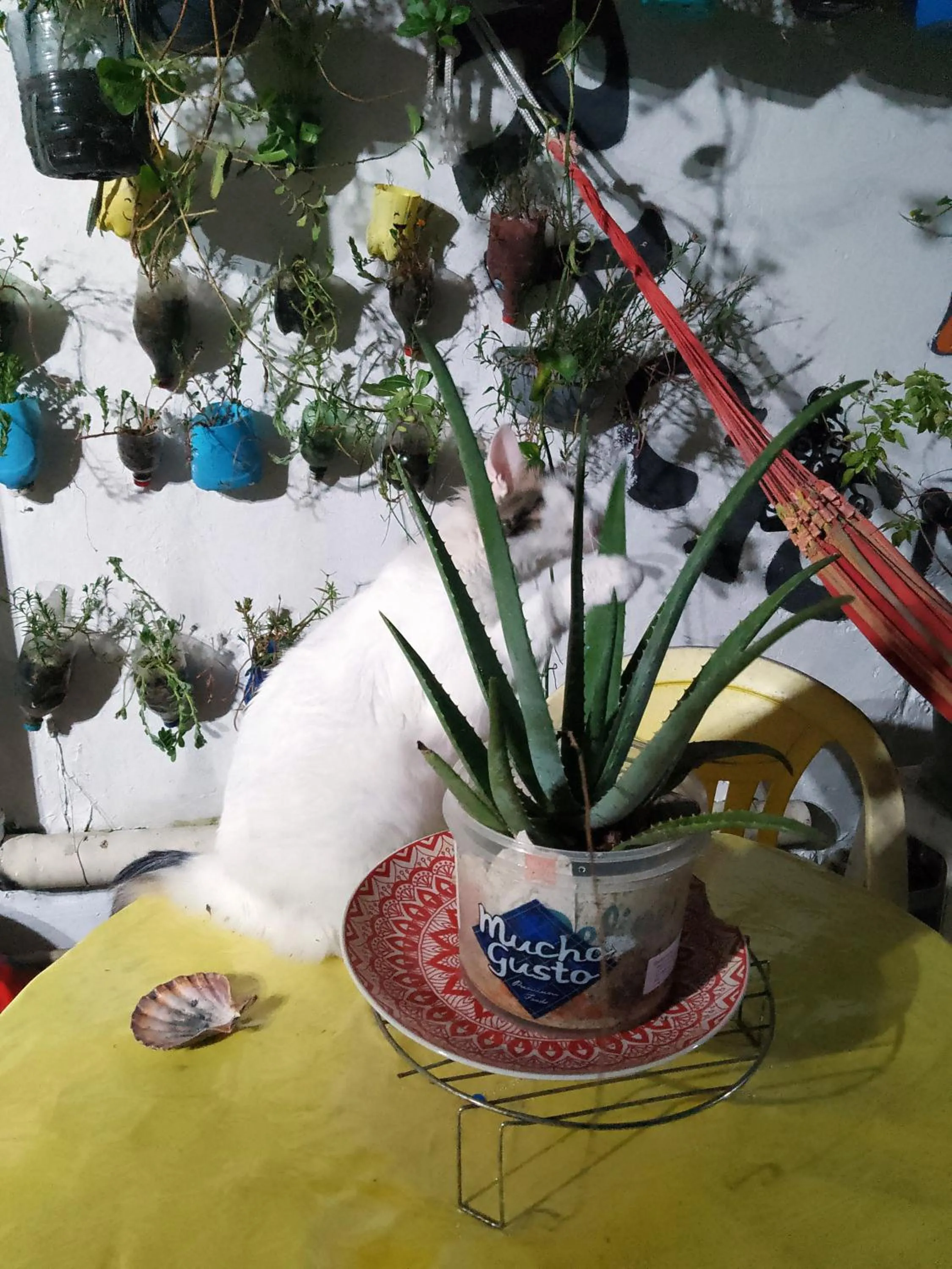 Day in Hostel Torre Bahia