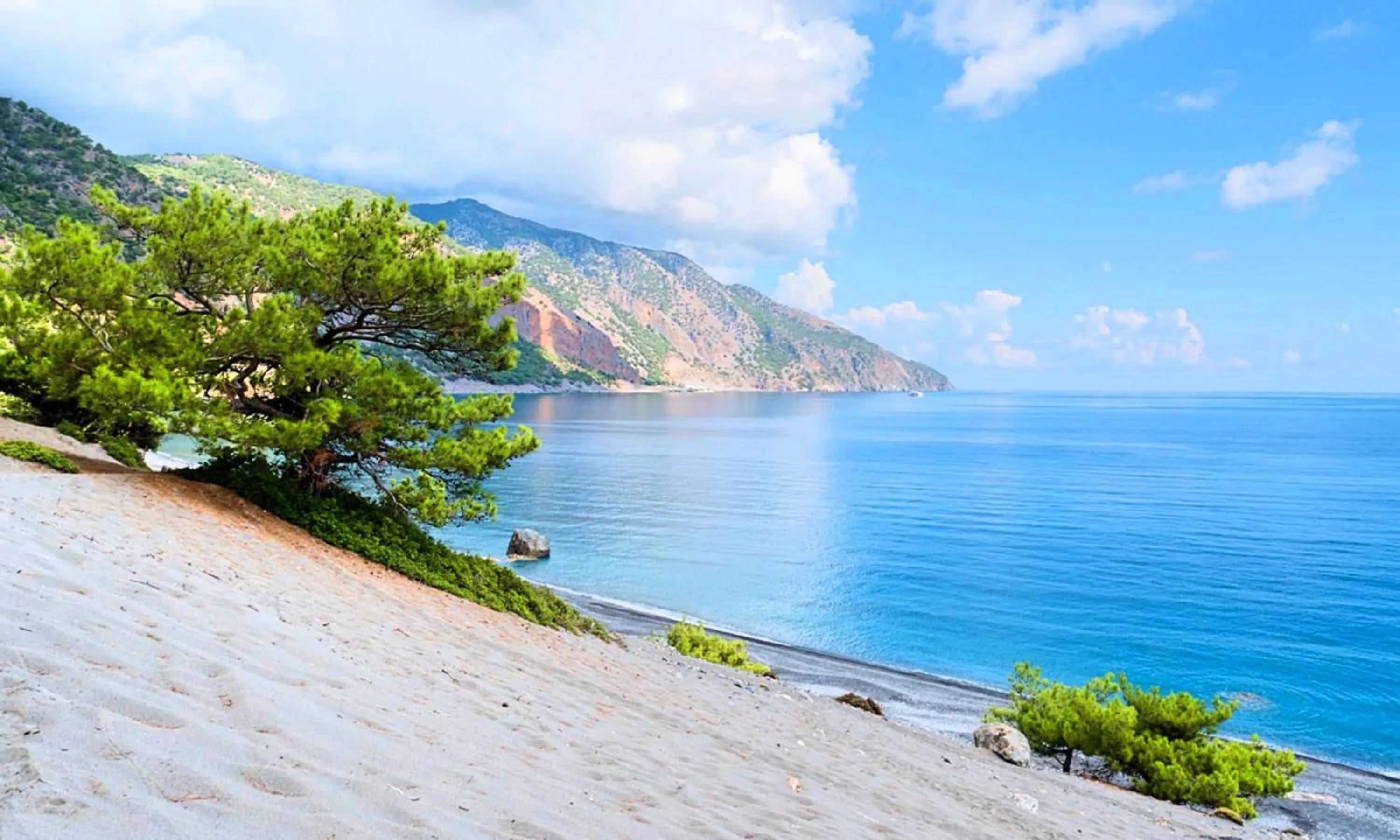 Natural landscape in Welcome Apts