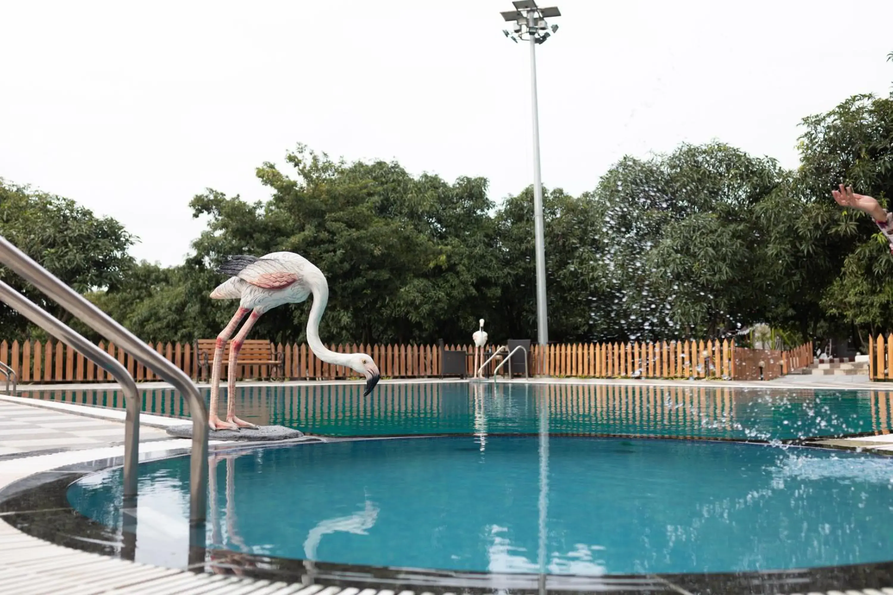 Swimming pool in Freesia Resort by Express Inn Swimming pool in Freesia Resort by Express Inn