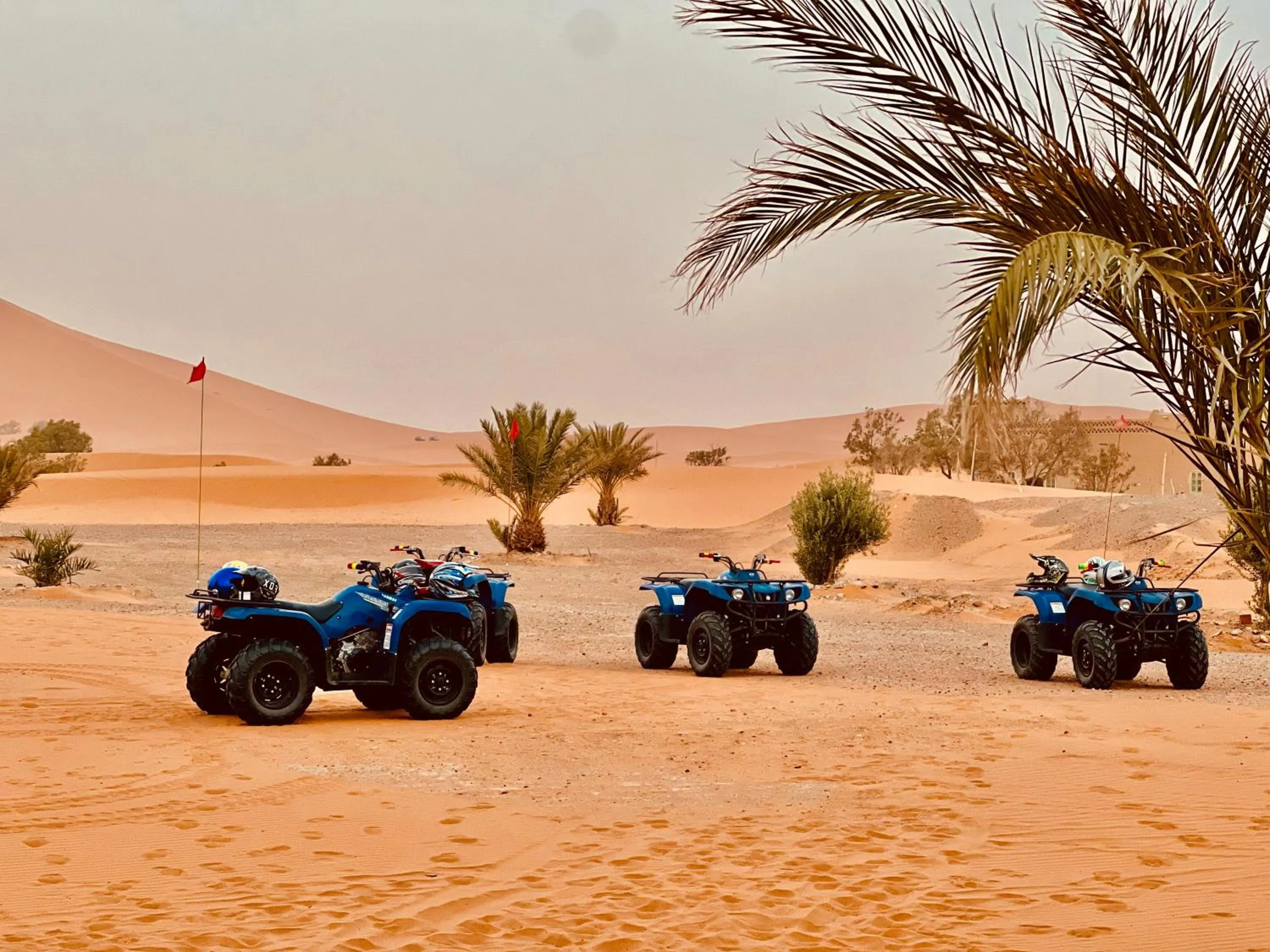 Day in Hotel Camping Les Roses Des Dunes & Piscine