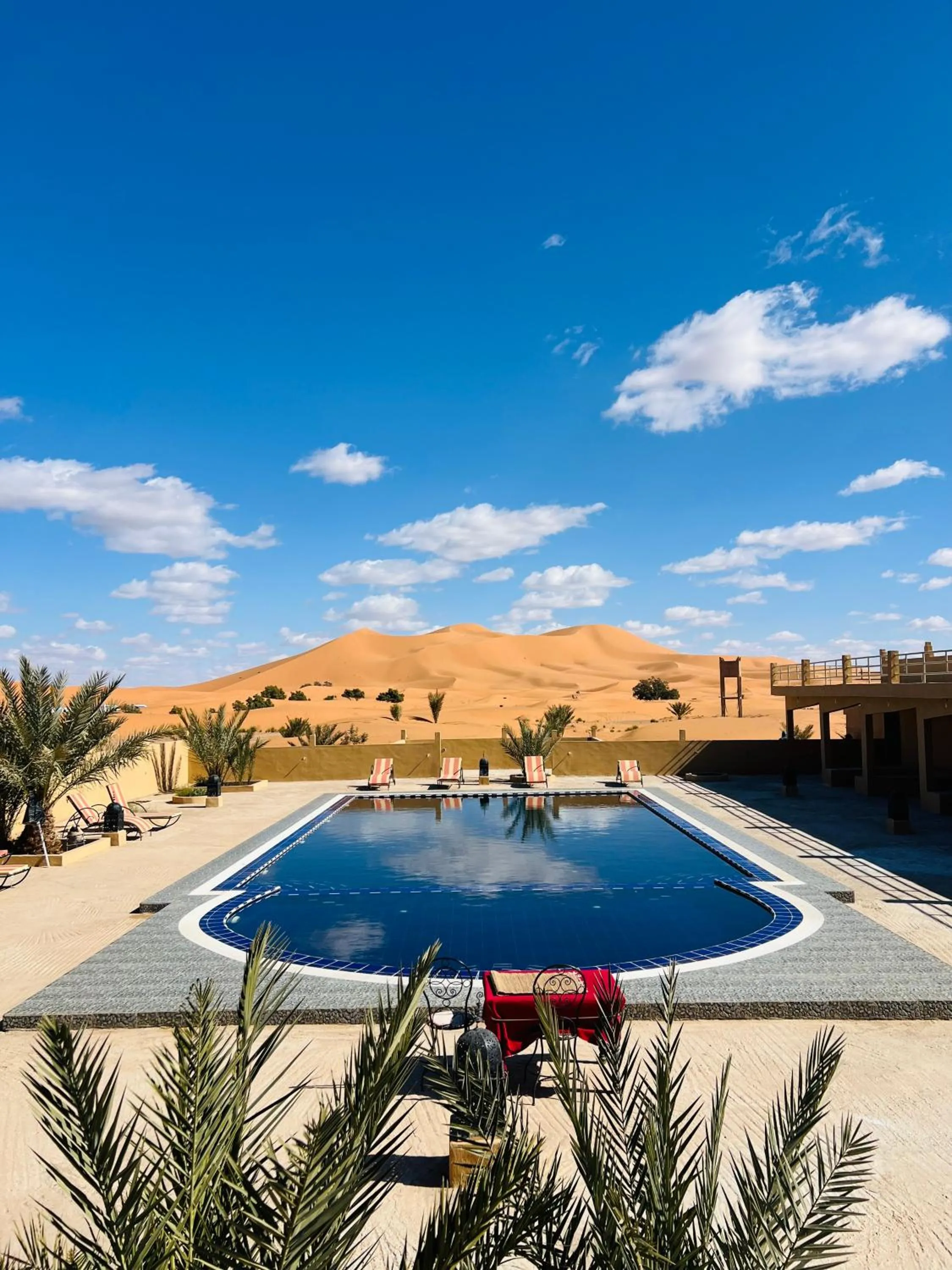 Day in Hotel Camping Les Roses Des Dunes & Piscine