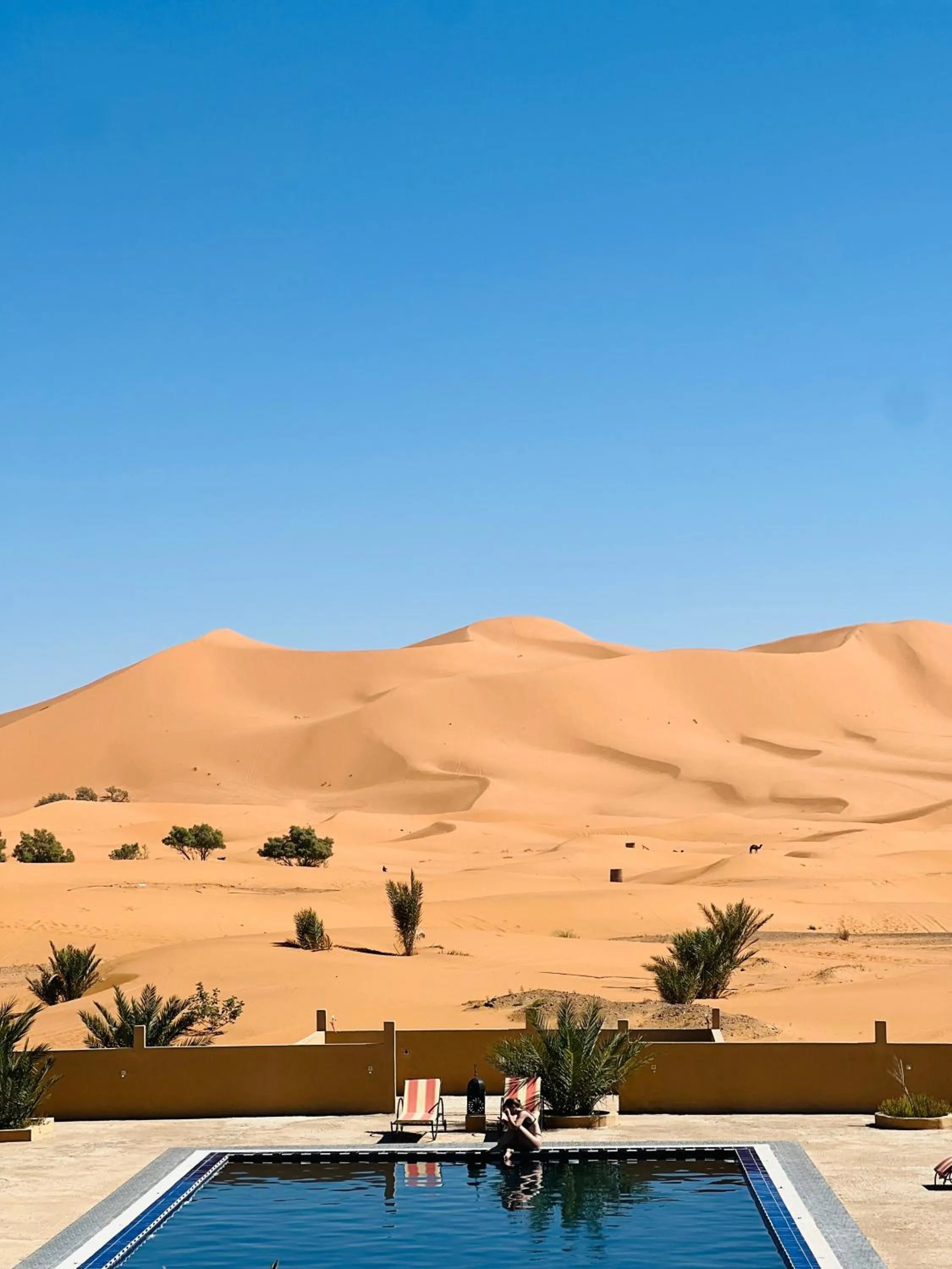 Day in Hotel Camping Les Roses Des Dunes & Piscine