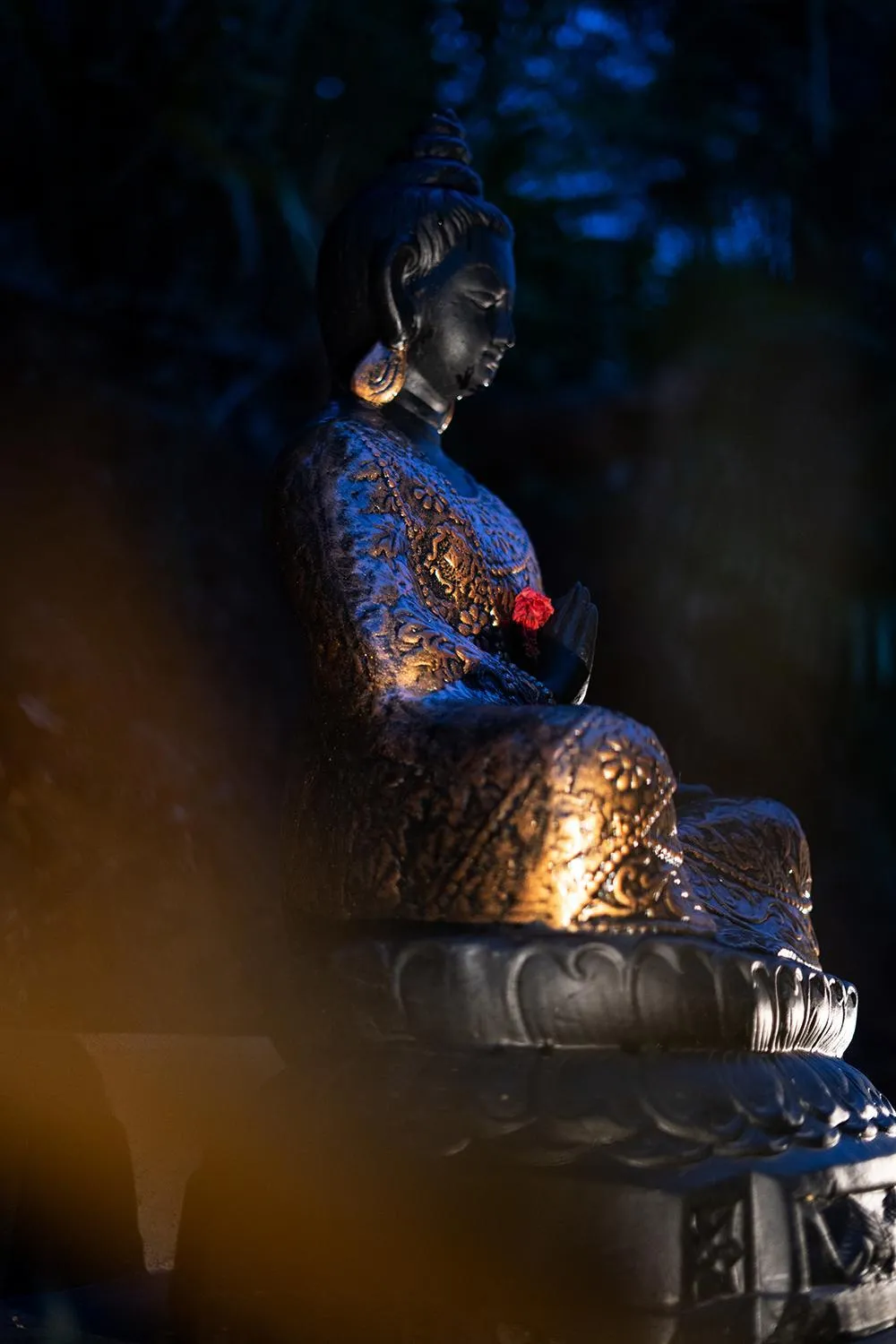 Natural landscape in Viceroy Luxury Mountain Resort and Spa