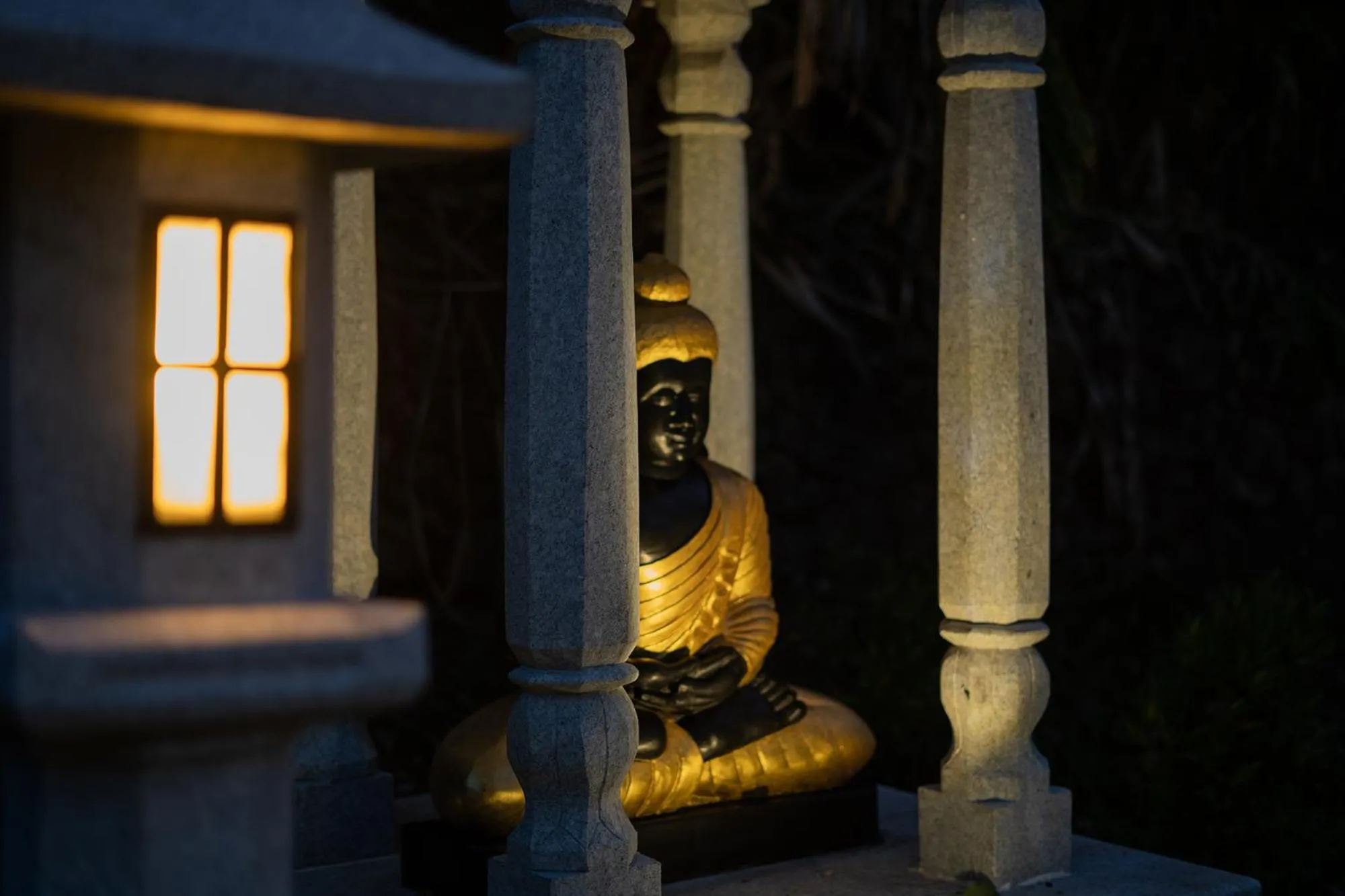 Night in Viceroy Luxury Mountain Resort and Spa