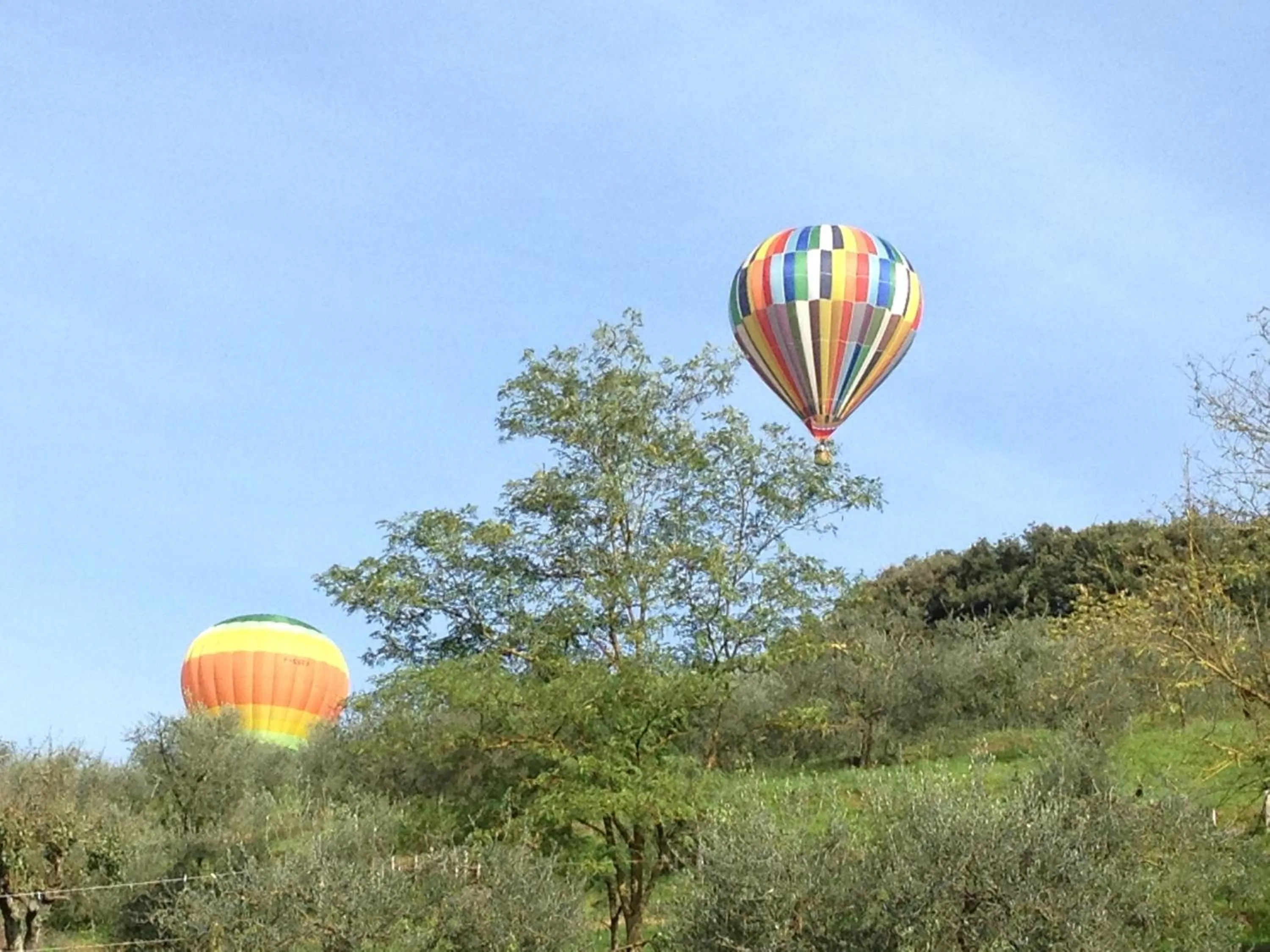View (from property/room) in Podere Il Pero