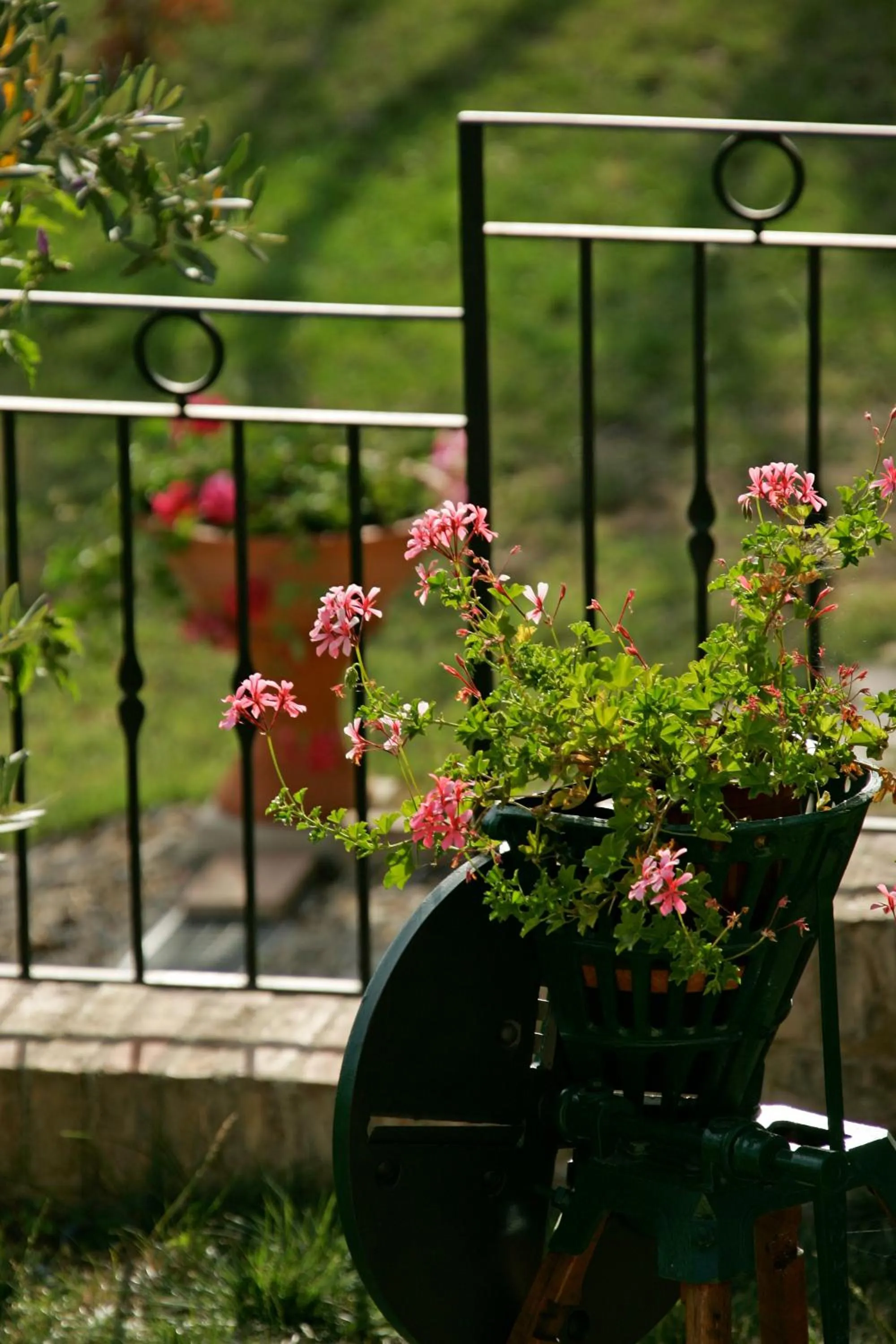 Garden in Podere Il Pero