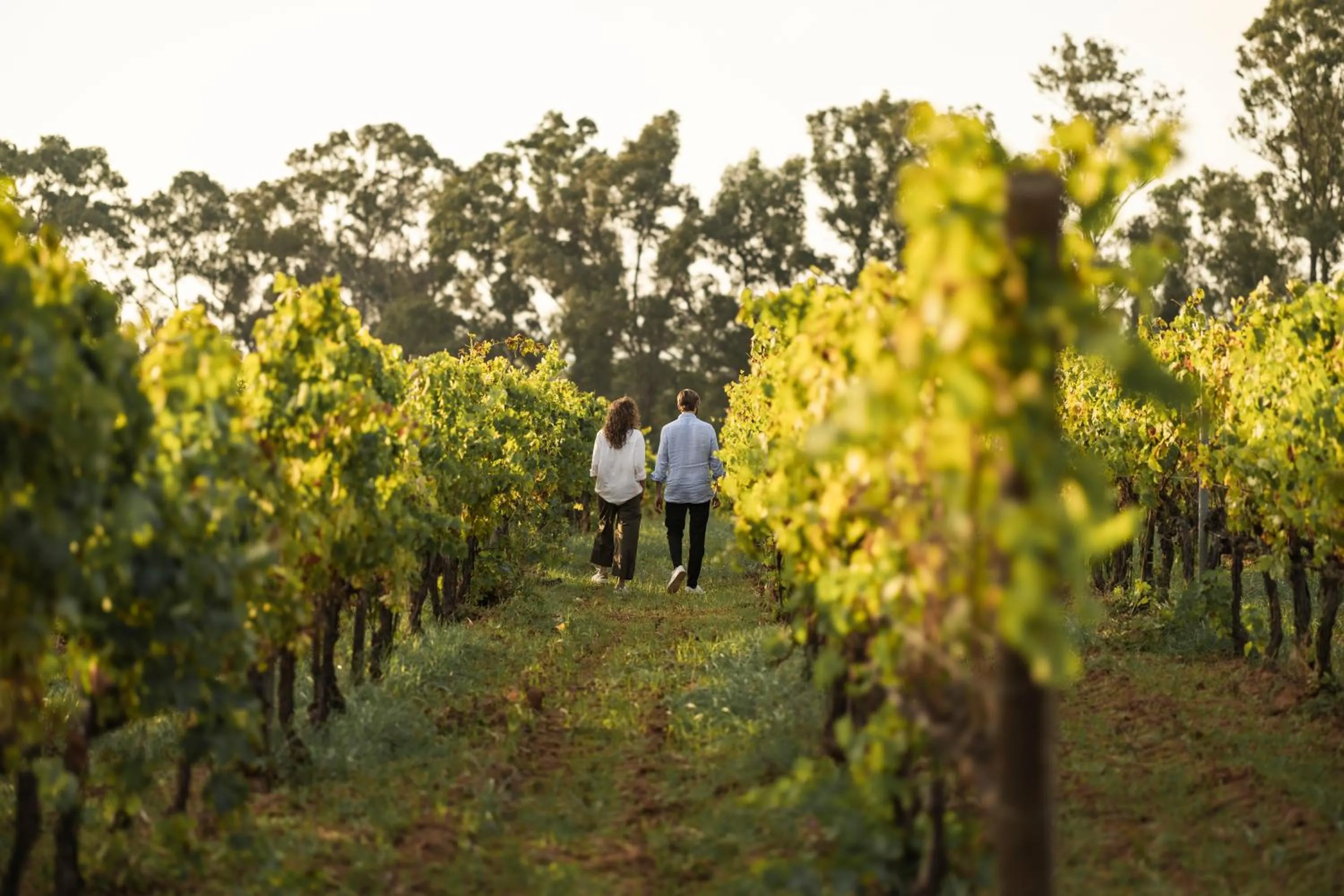 Activities in La Roqqa