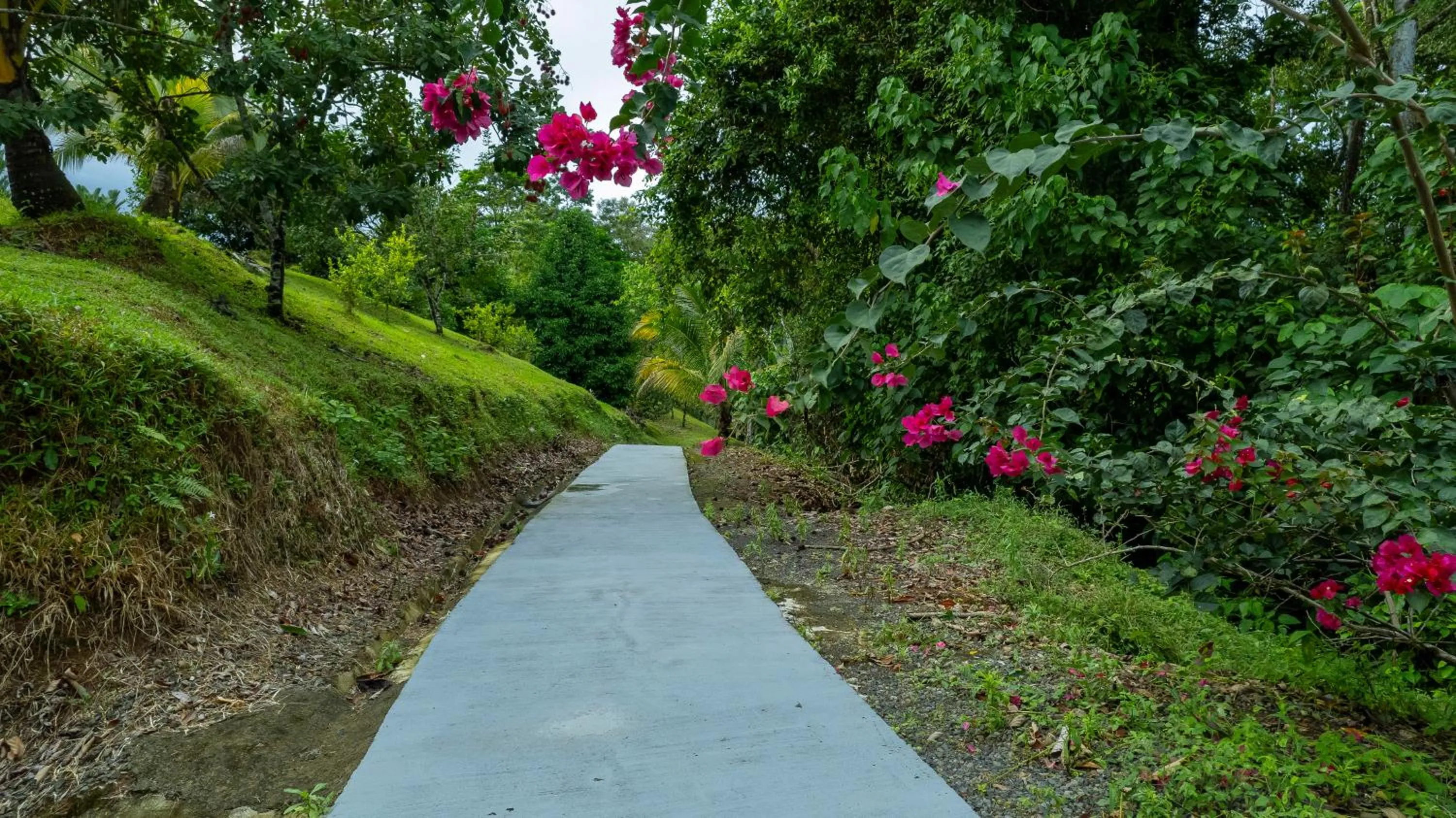 Garden in Serenity Hotel & Villas