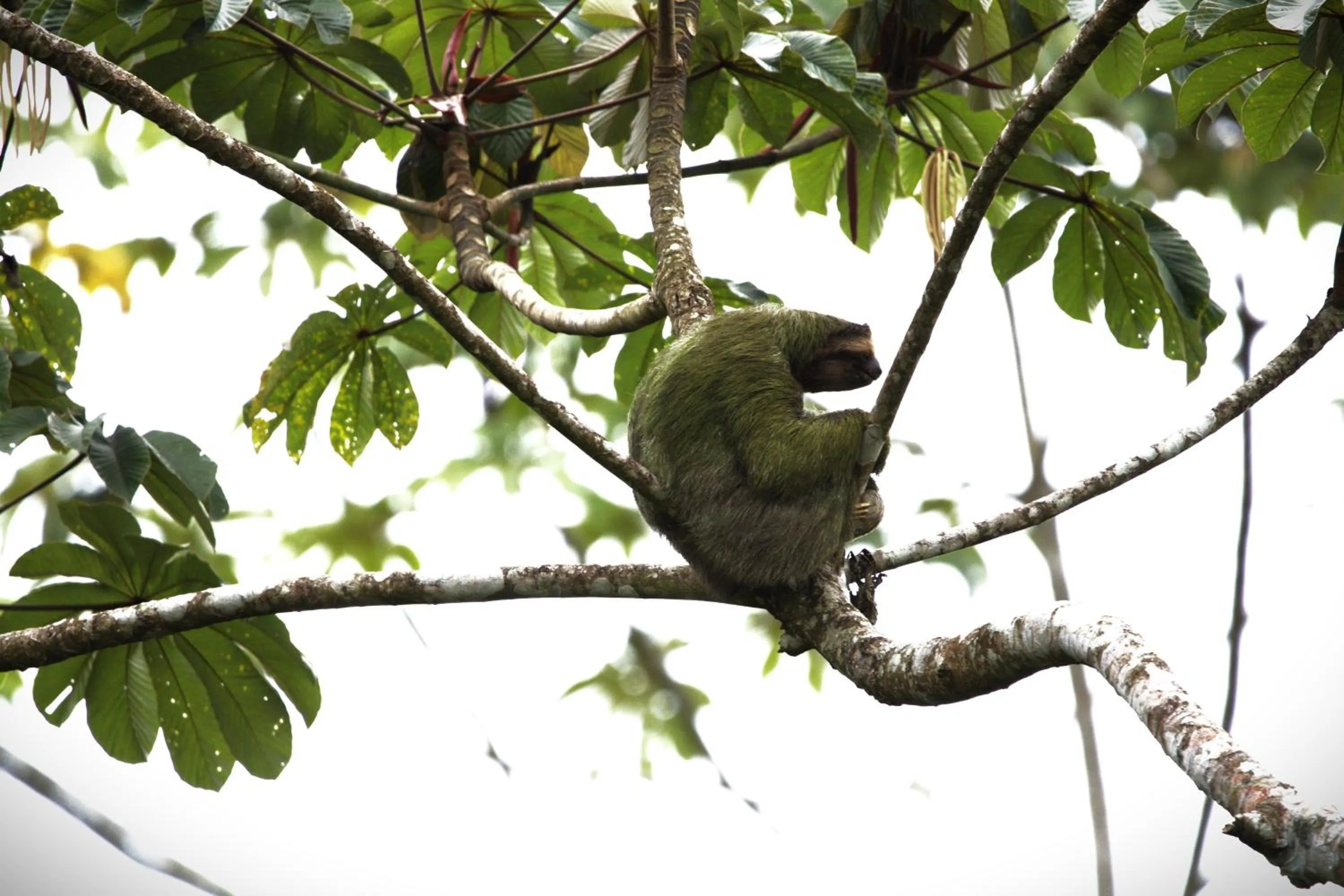 Natural landscape in Serenity Hotel & Villas