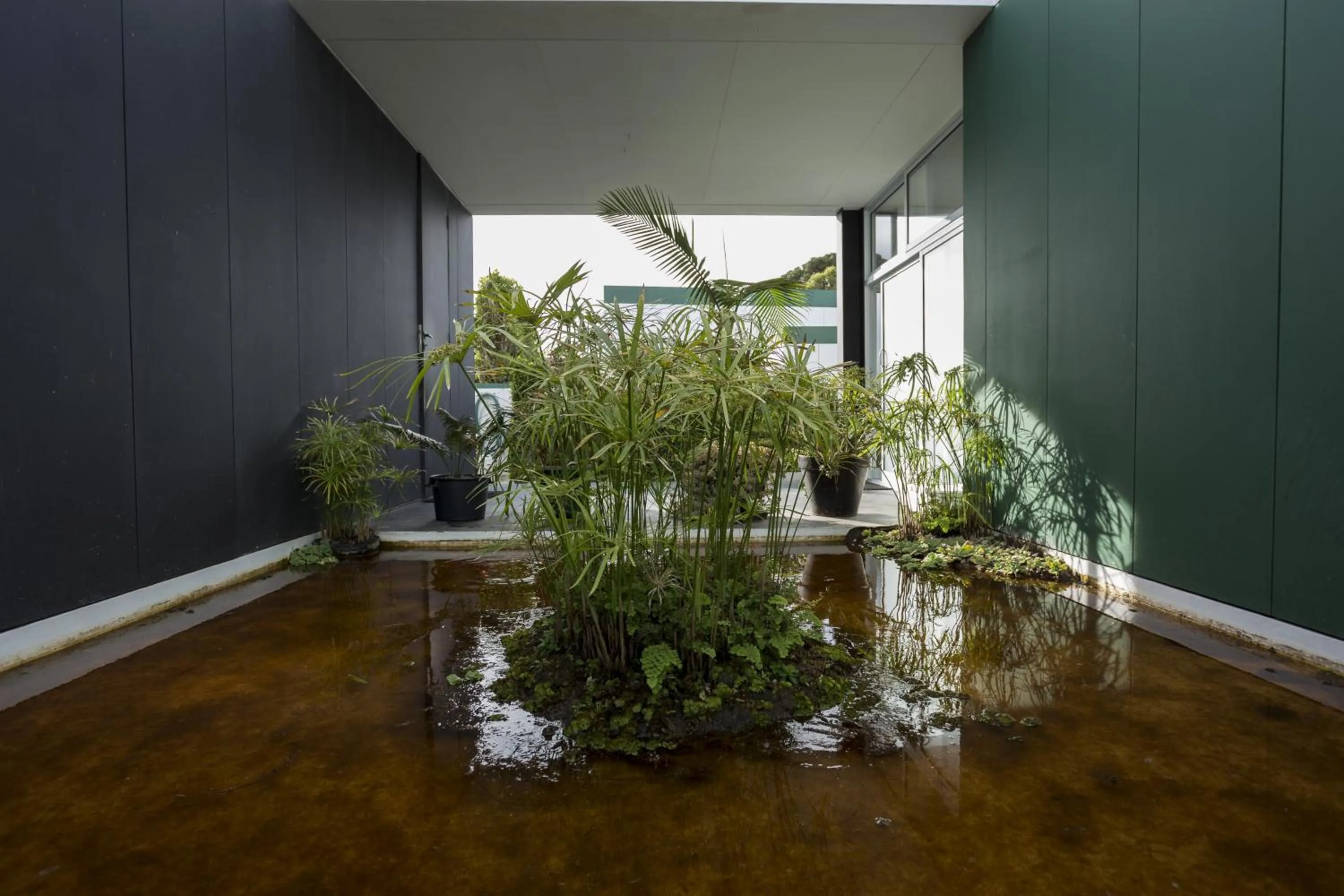 Restaurant/places to eat in Quinta de Santa Bárbara Casas Turisticas