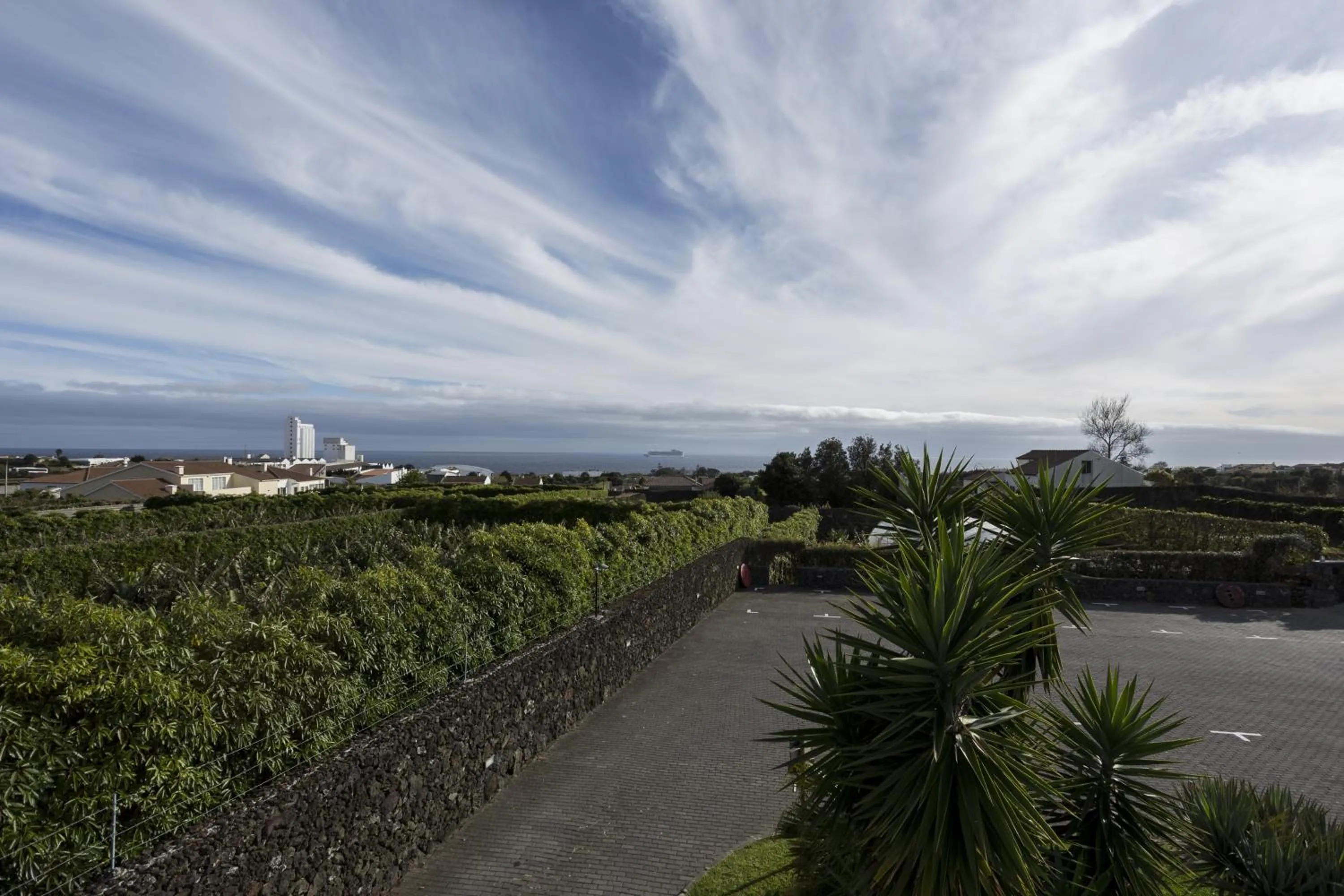Bird's eye view in Quinta de Santa Bárbara Casas Turisticas