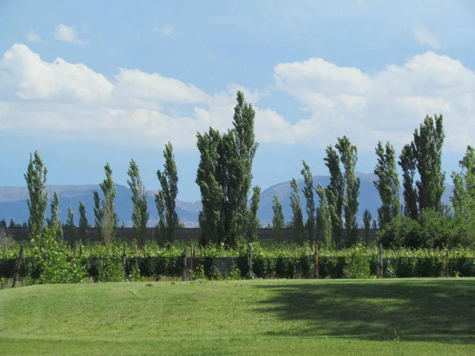 Garden view in Finca el Maitén Hotel Boutique