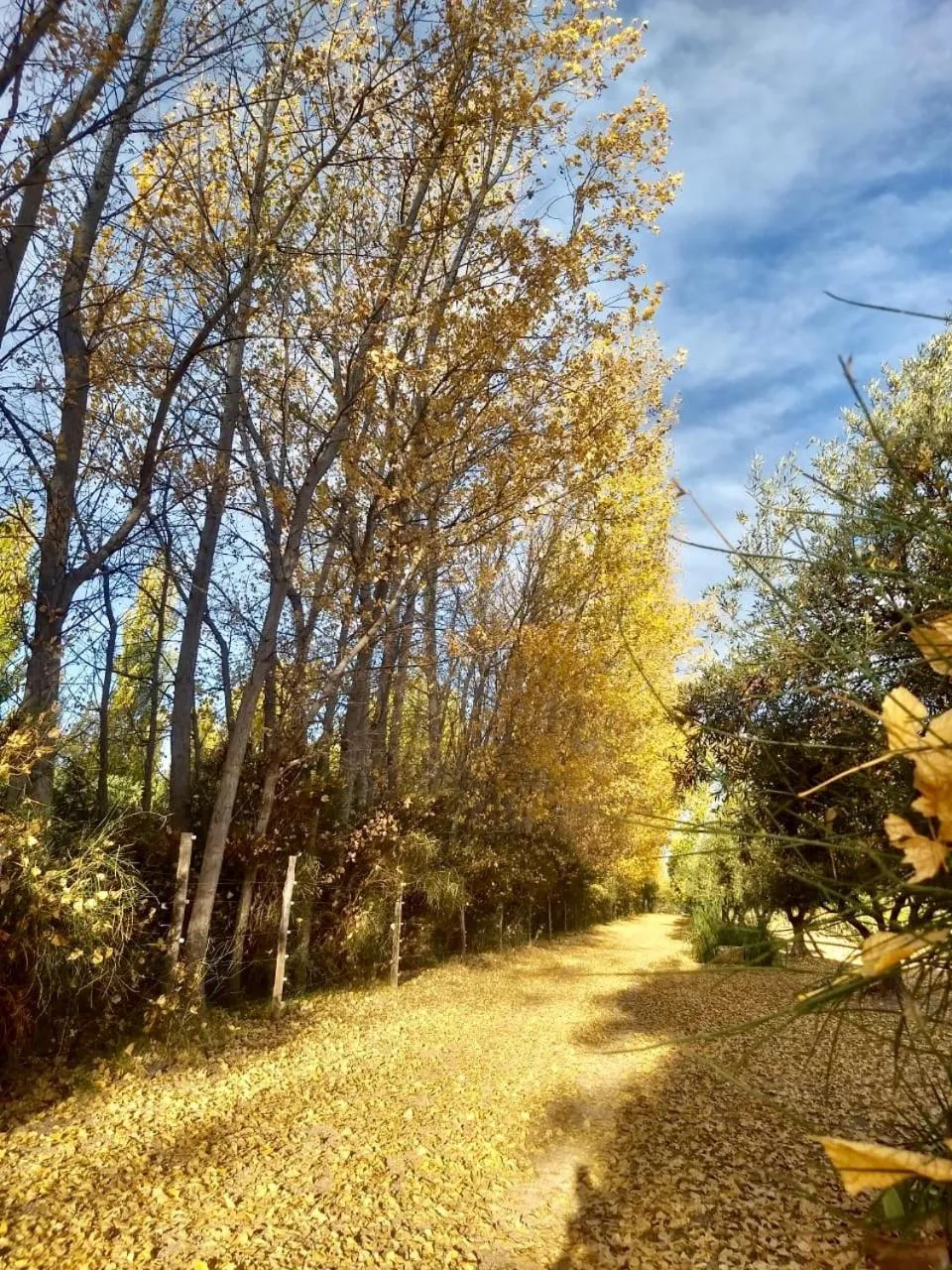 Natural landscape in Finca el Maitén Hotel Boutique