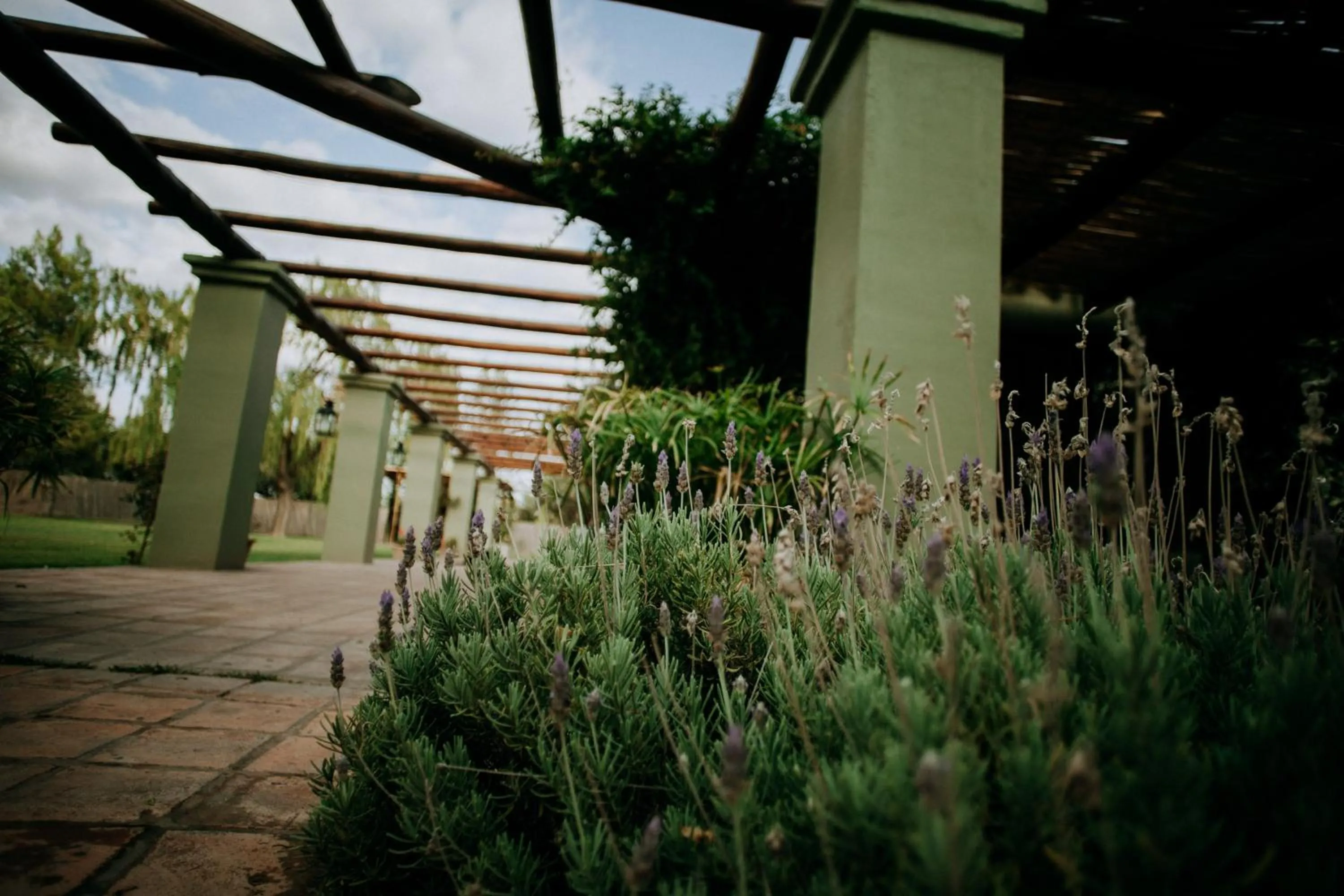 Garden in Finca el Maitén Hotel Boutique