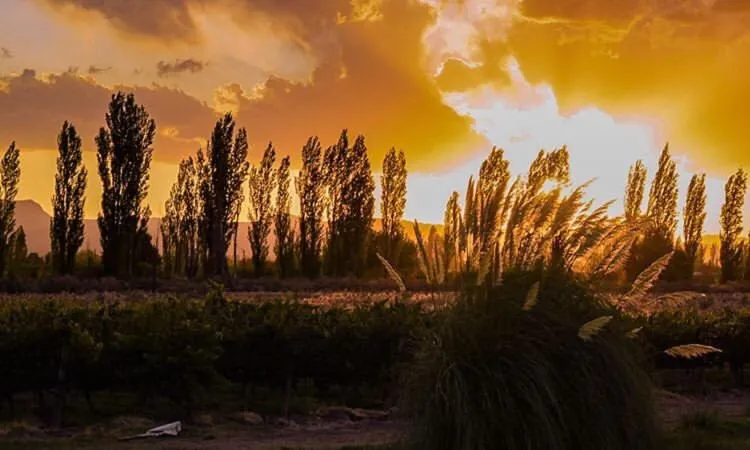 Sunset in Finca el Maitén Hotel Boutique
