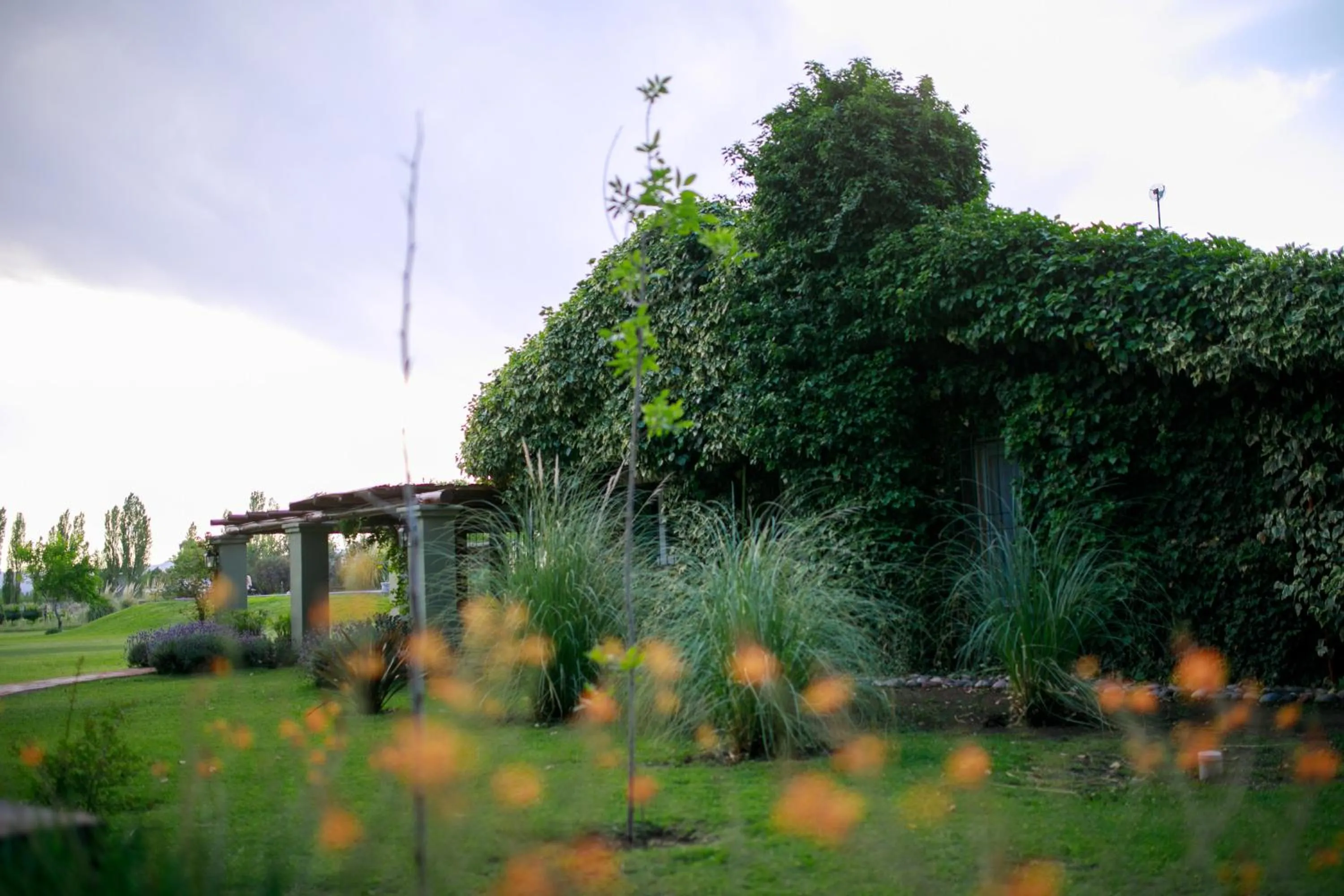 Garden view in Finca el Maitén Hotel Boutique