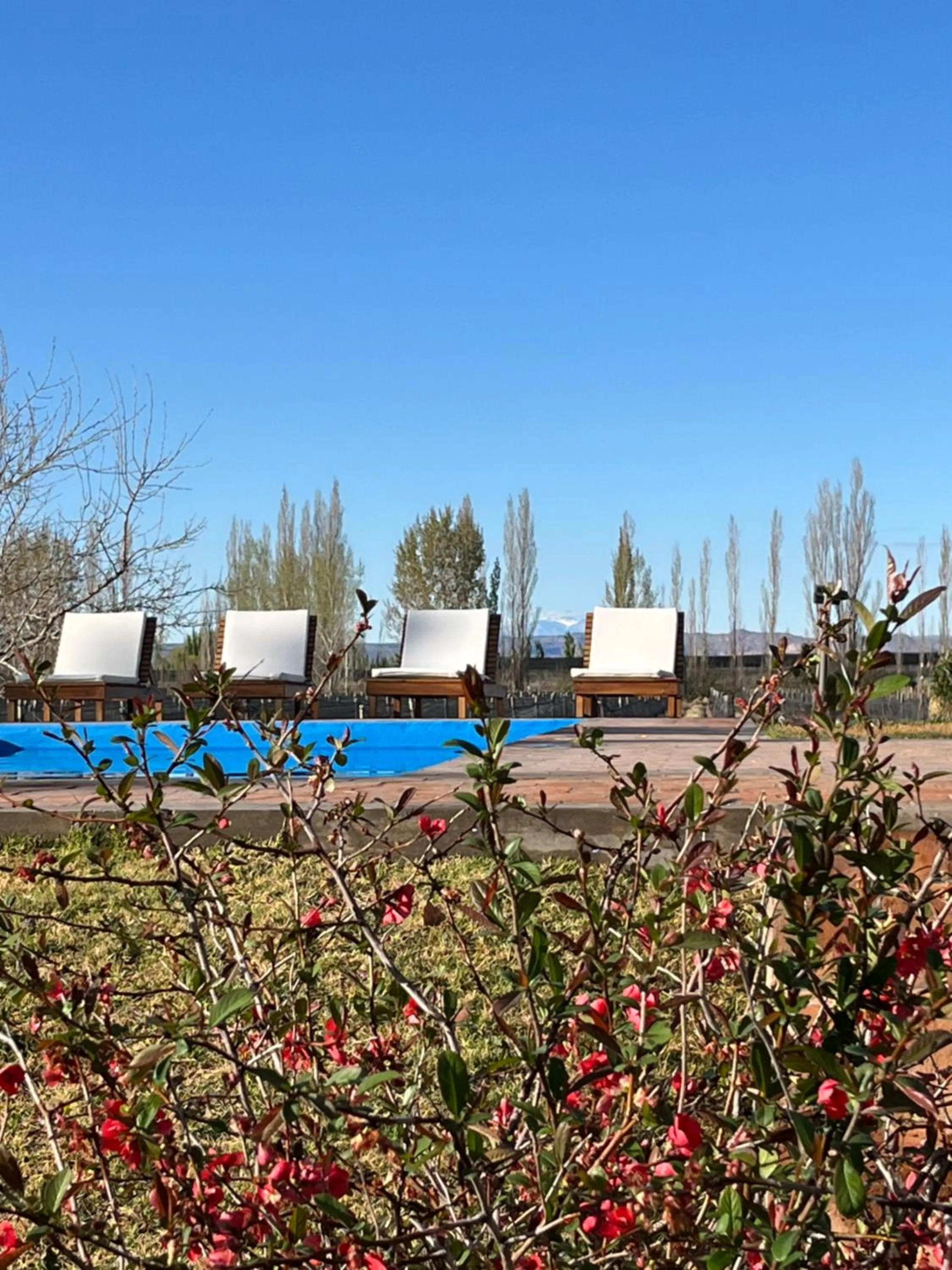 Swimming pool in Finca el Maitén Hotel Boutique