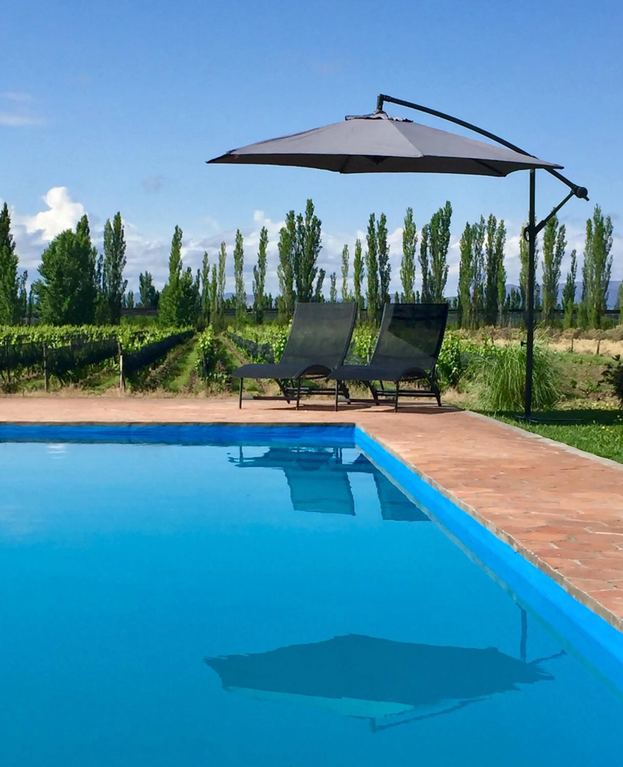 Swimming pool in Finca el Maitén Hotel Boutique